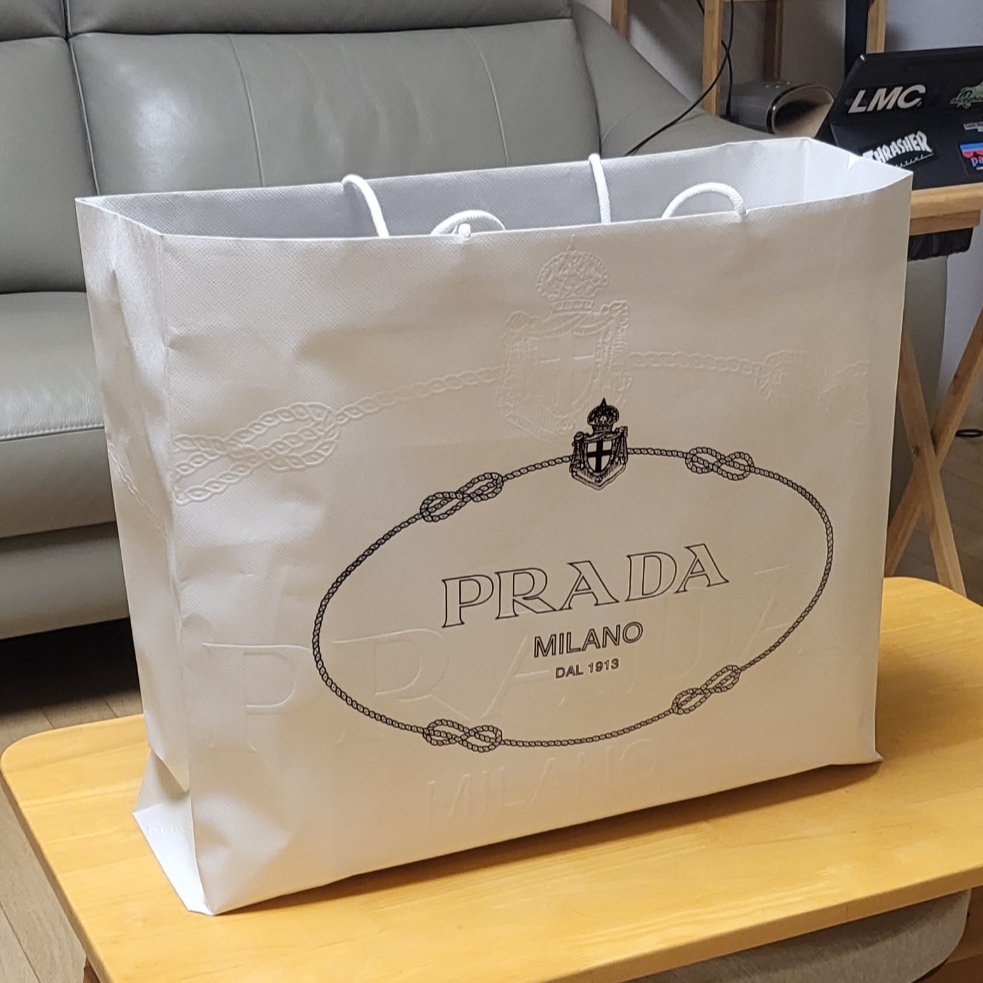Prada Re-Nylon Leather Shoulder Bag Black 착용 스타일 - 2