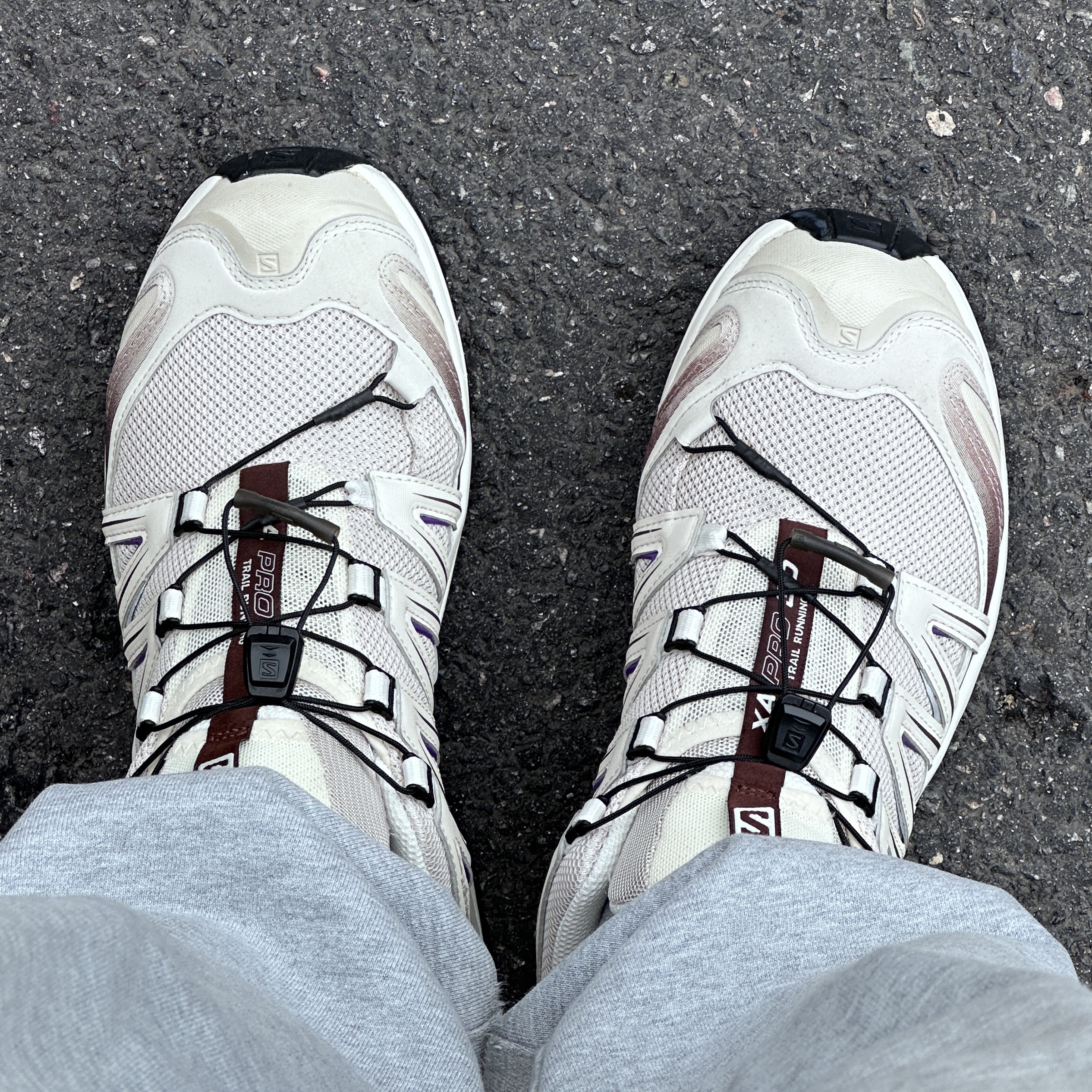 Salomon XA Pro 3D Rainy Day Chocolate Fondant 착용 스타일