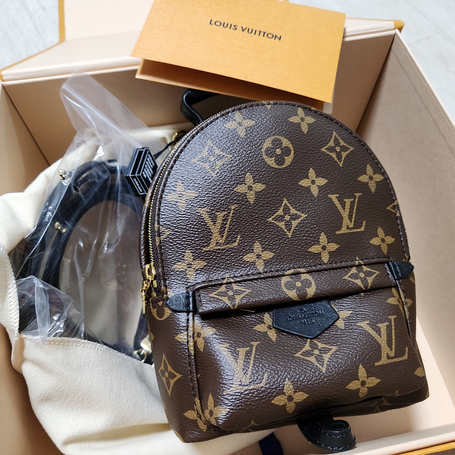 Louis Vuitton Palm Springs Mini Backpack Monogram 착용 스타일