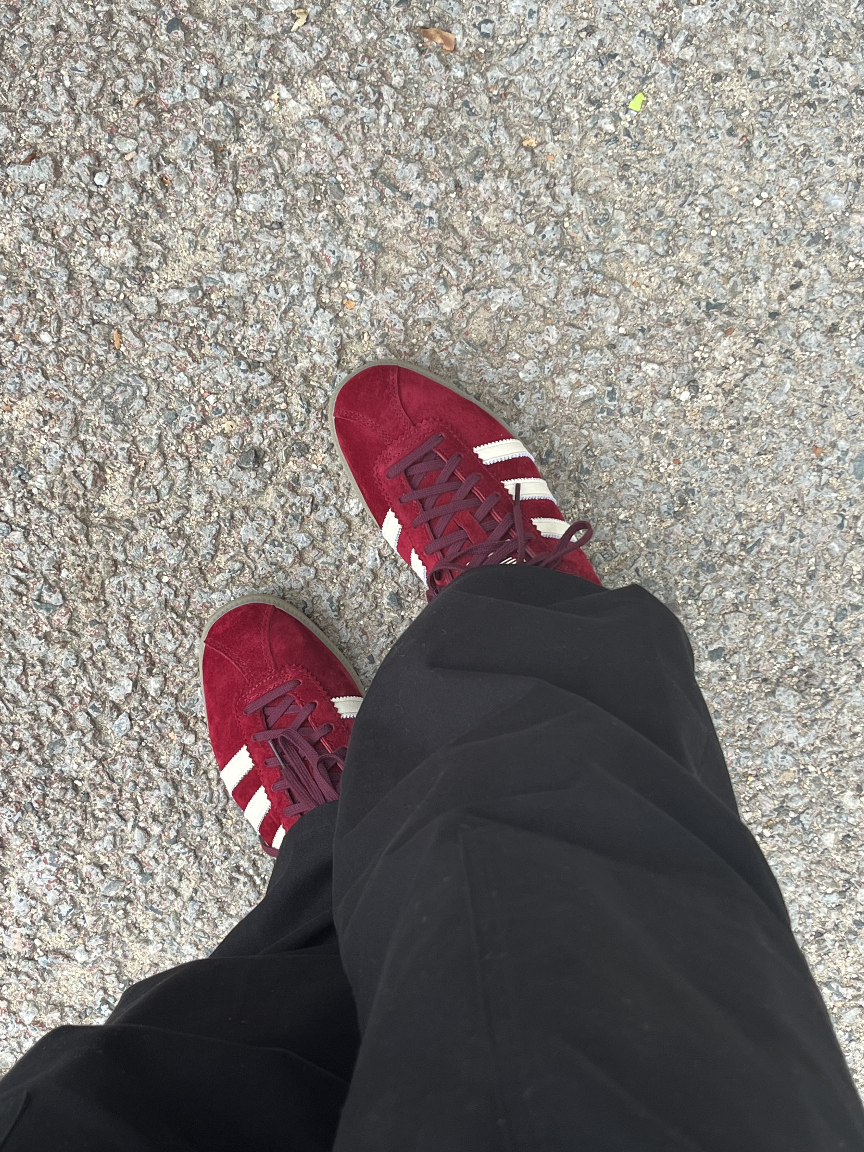 Adidas Bermuda College Burgundy 착용 스타일