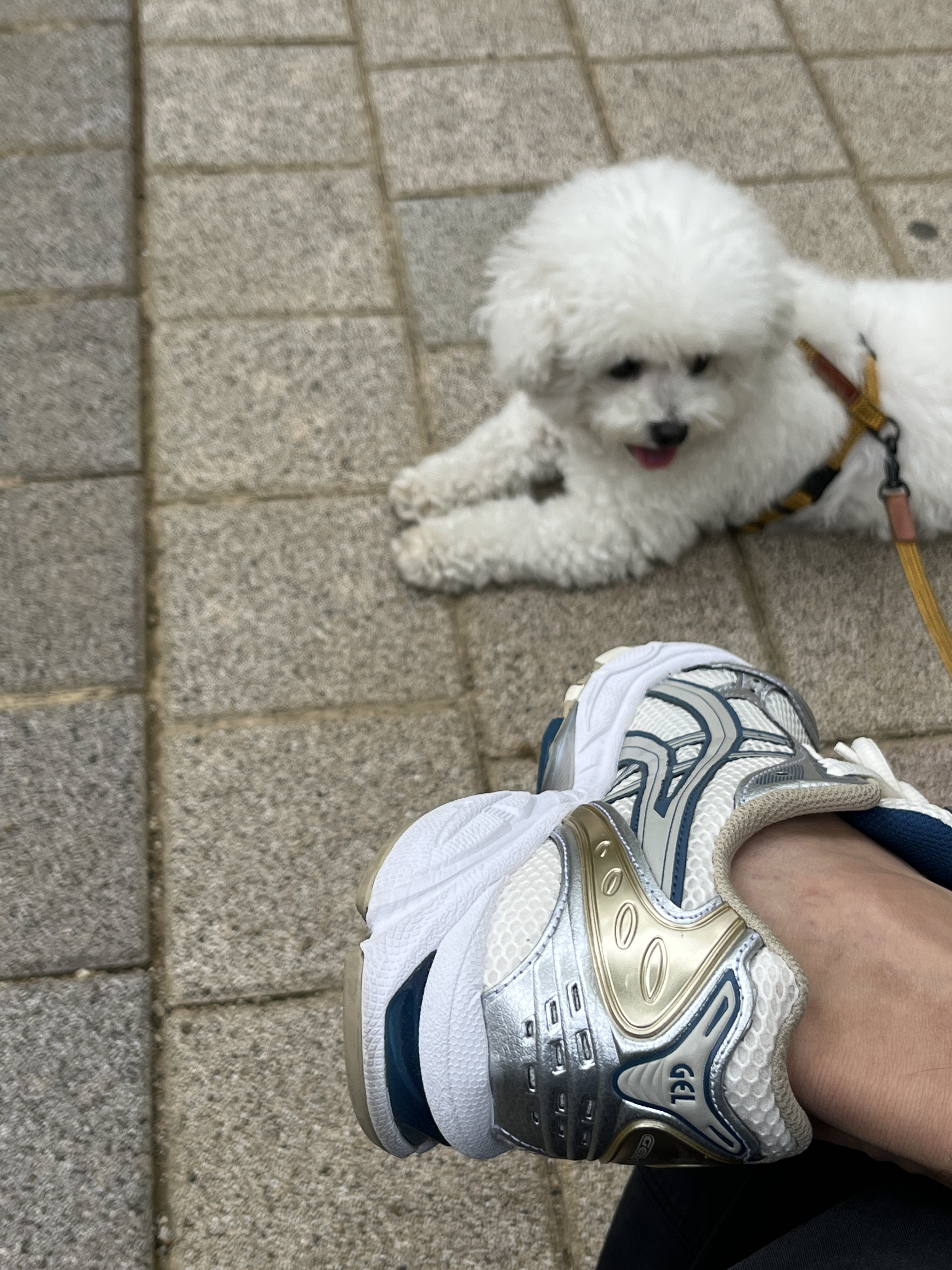 Asics Gel-Kayano 14 Cream Pure Silver 착용 스타일 - 3