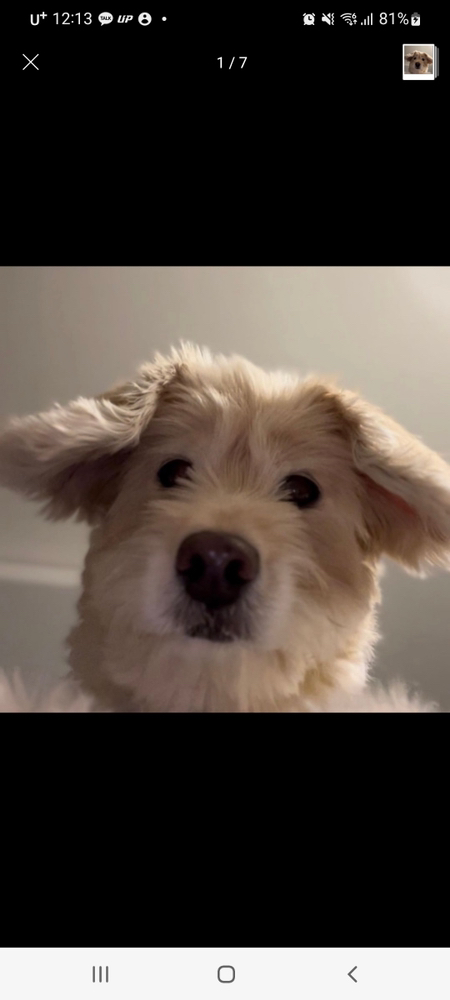 KREAM 프로필 이미지