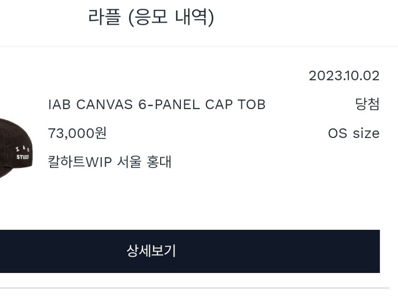 Carhartt WIP x IAB Studio Canvas 6-Panel Cap Tobacco 착용 스타일 - 2