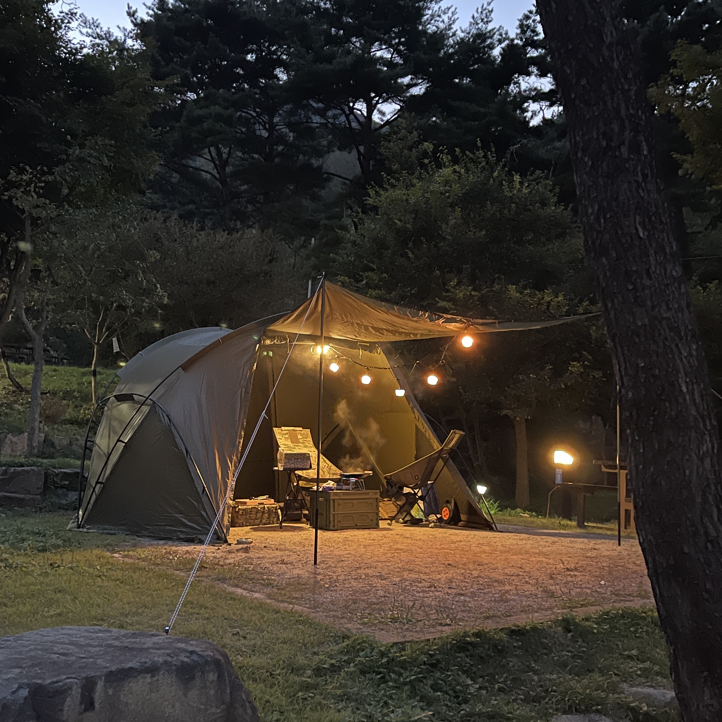 Helinox Tactical V-Tarp 4.0 R1 Coyote Tan 착용 스타일
