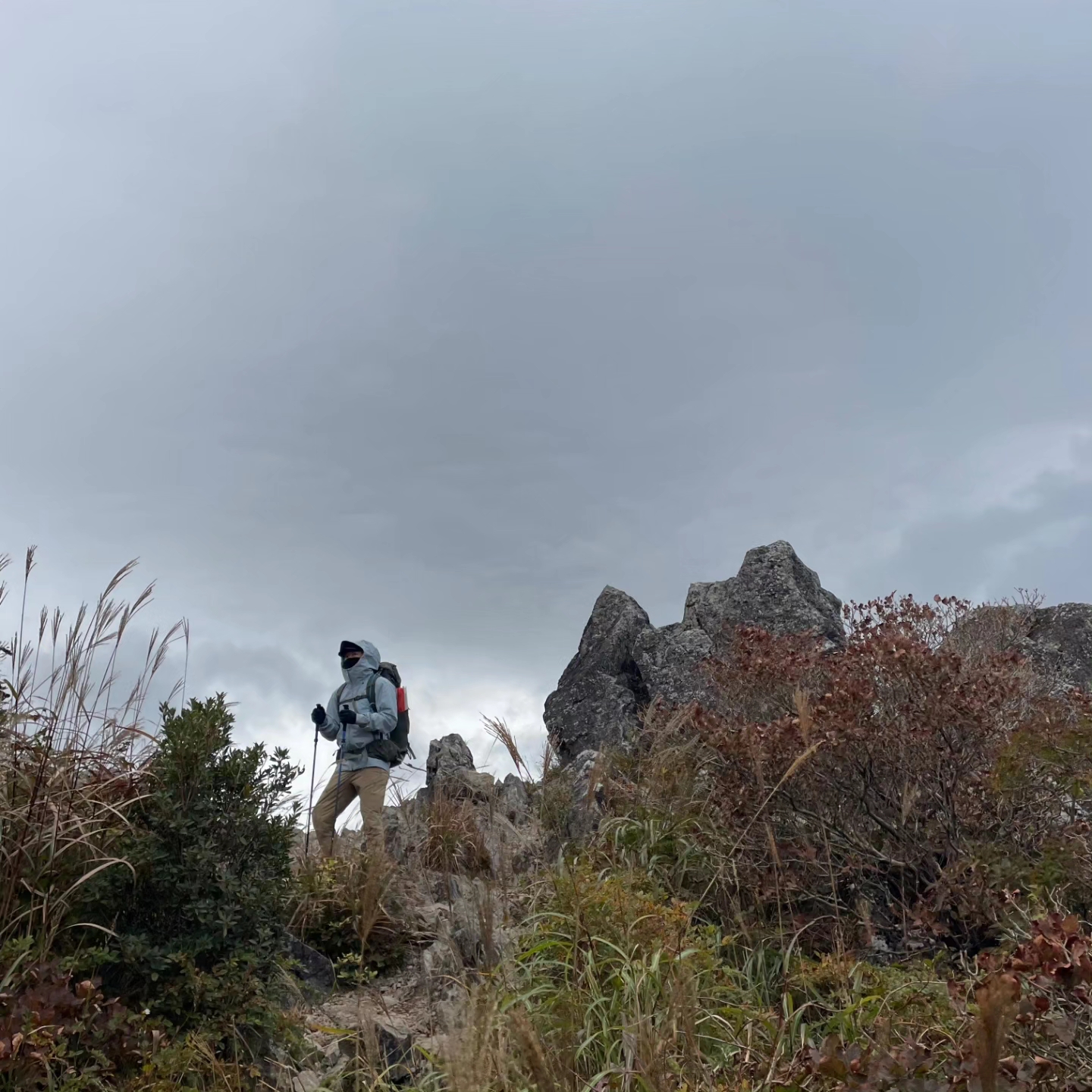 Arc'teryx Gamma Lightweight Pants Canvas, Arc'teryx Beta LT Jacket Lucent 착용 스타일 - 2