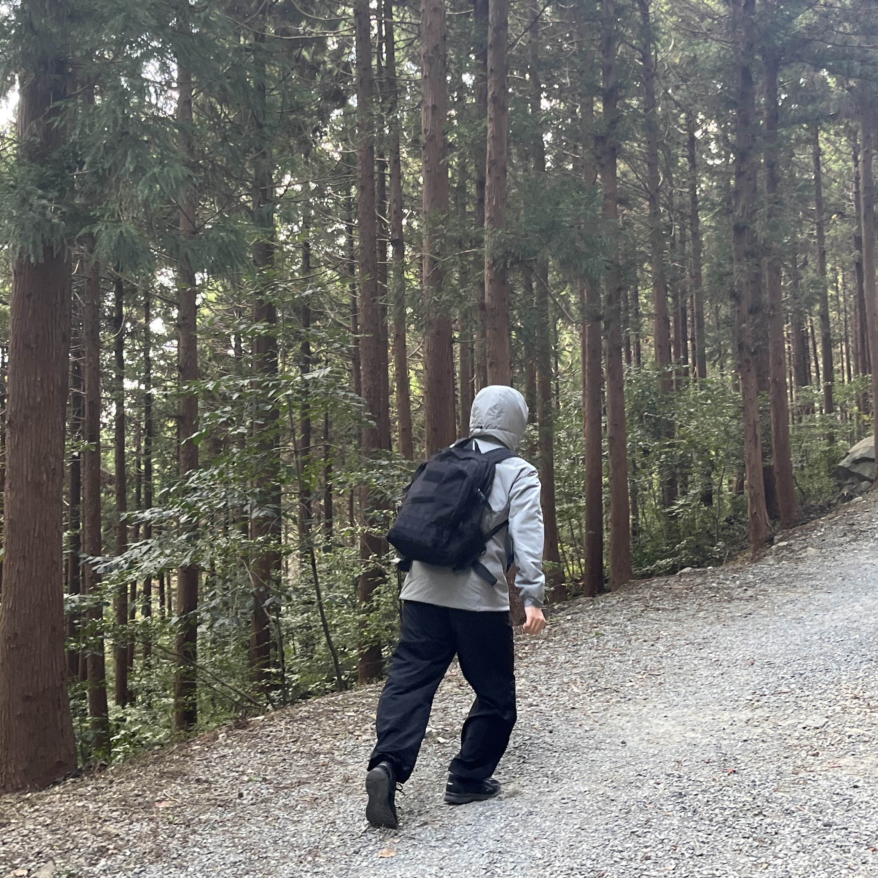 Arc'teryx Atom LT Hoody Void 착용 스타일 - 2