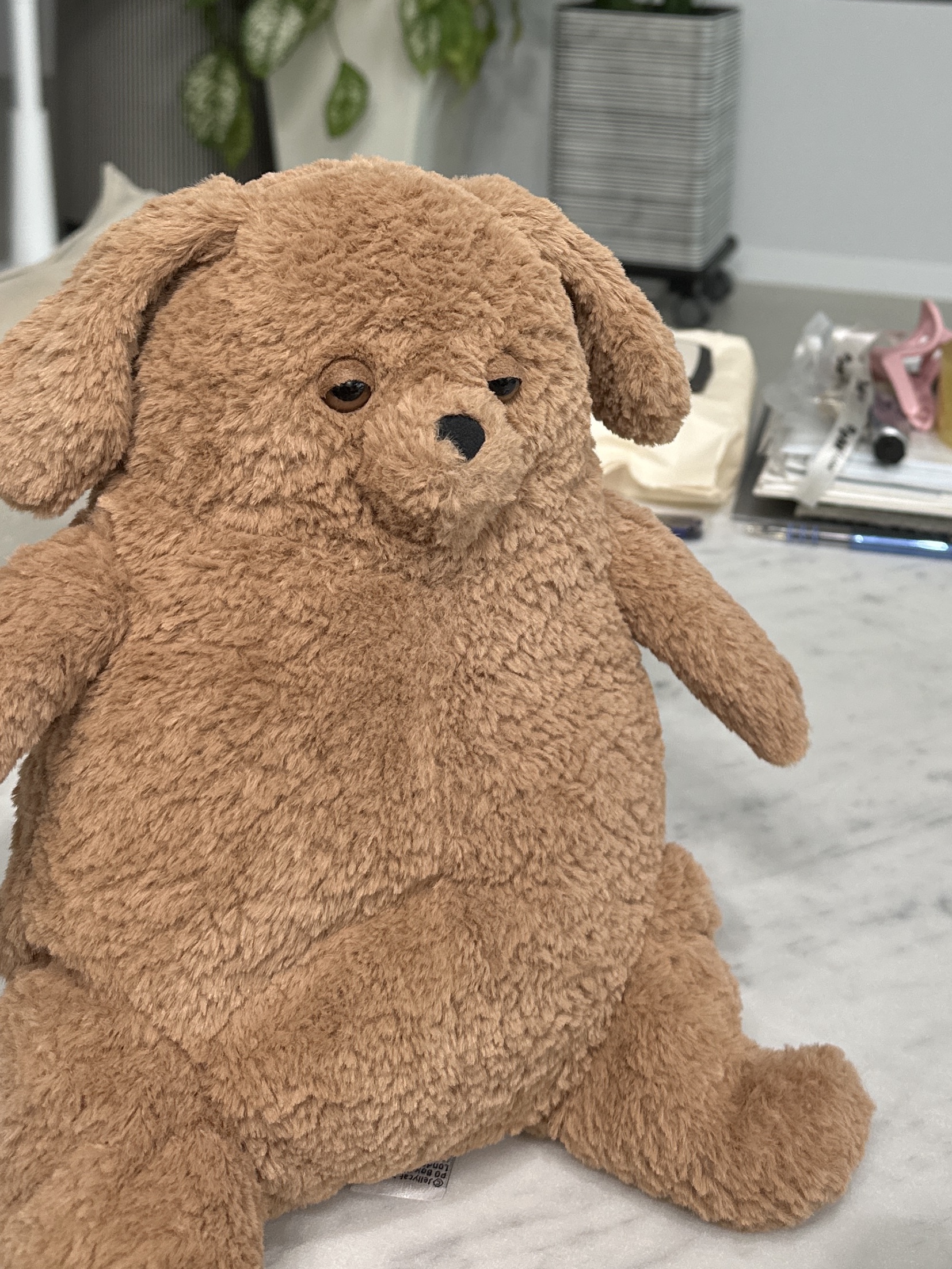 Jellycat Amore Dog Brown 착용 스타일 - 5