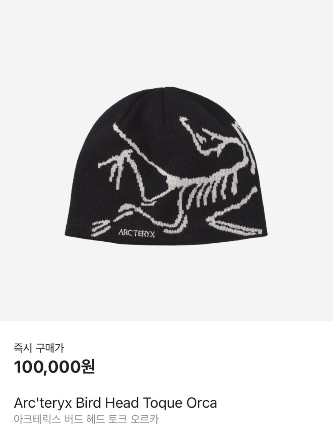 Arc'teryx Bird Word Toque Black Sapphire, Arc'teryx Bird Head Toque Edziza 착용 스타일 - 6