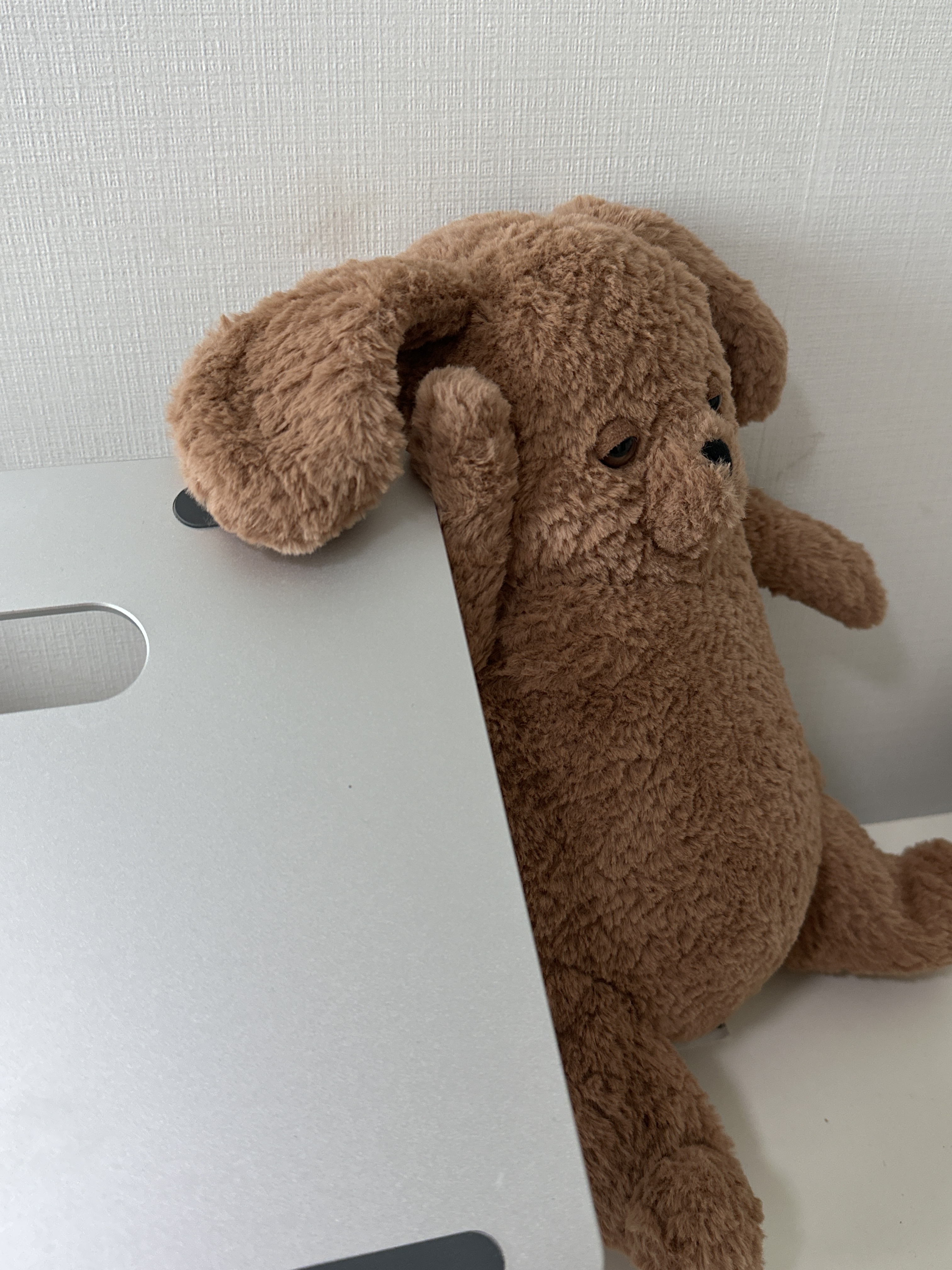Jellycat Amore Dog Brown 착용 스타일 - 4