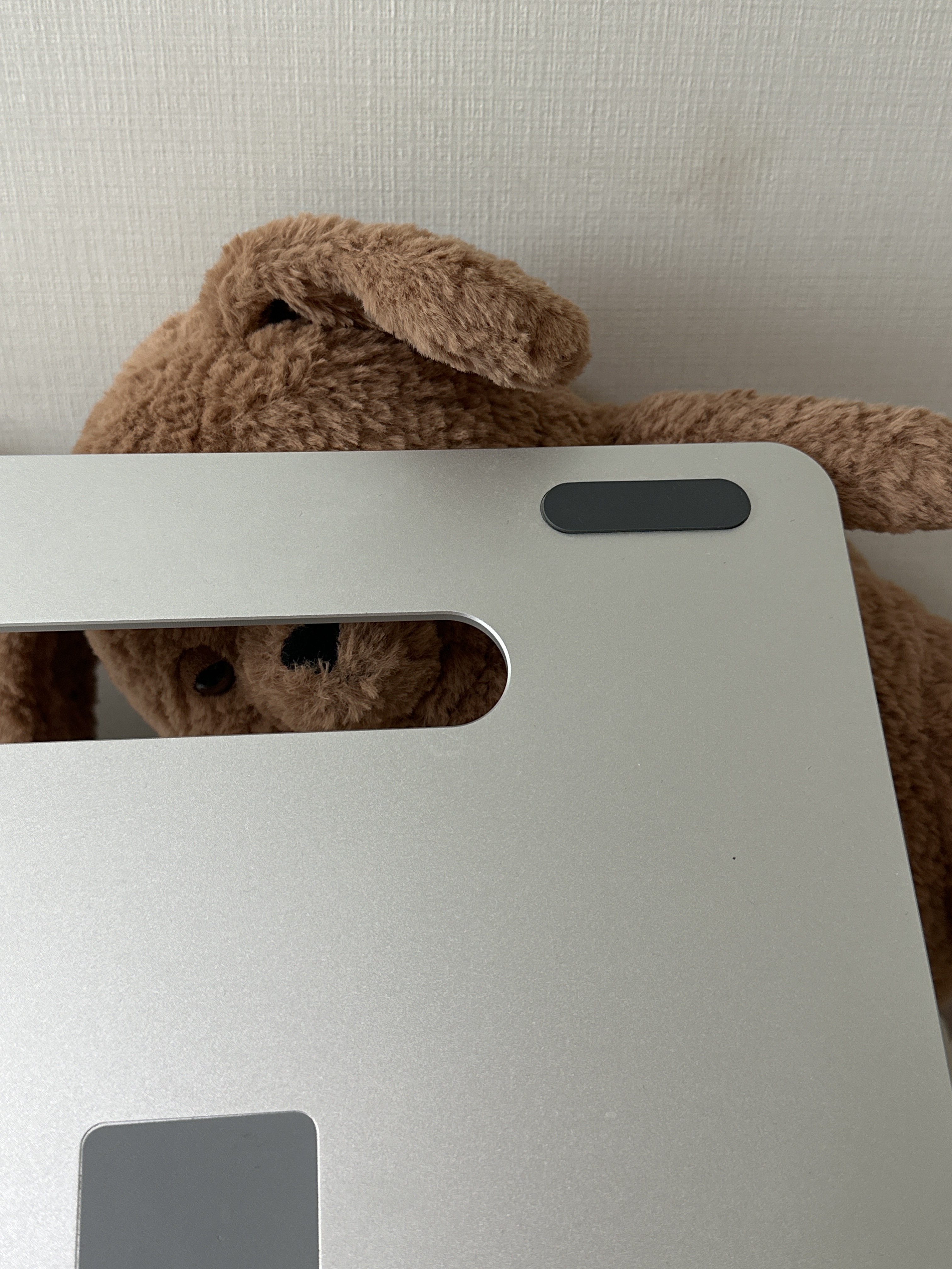Jellycat Amore Dog Brown 착용 스타일 - 3