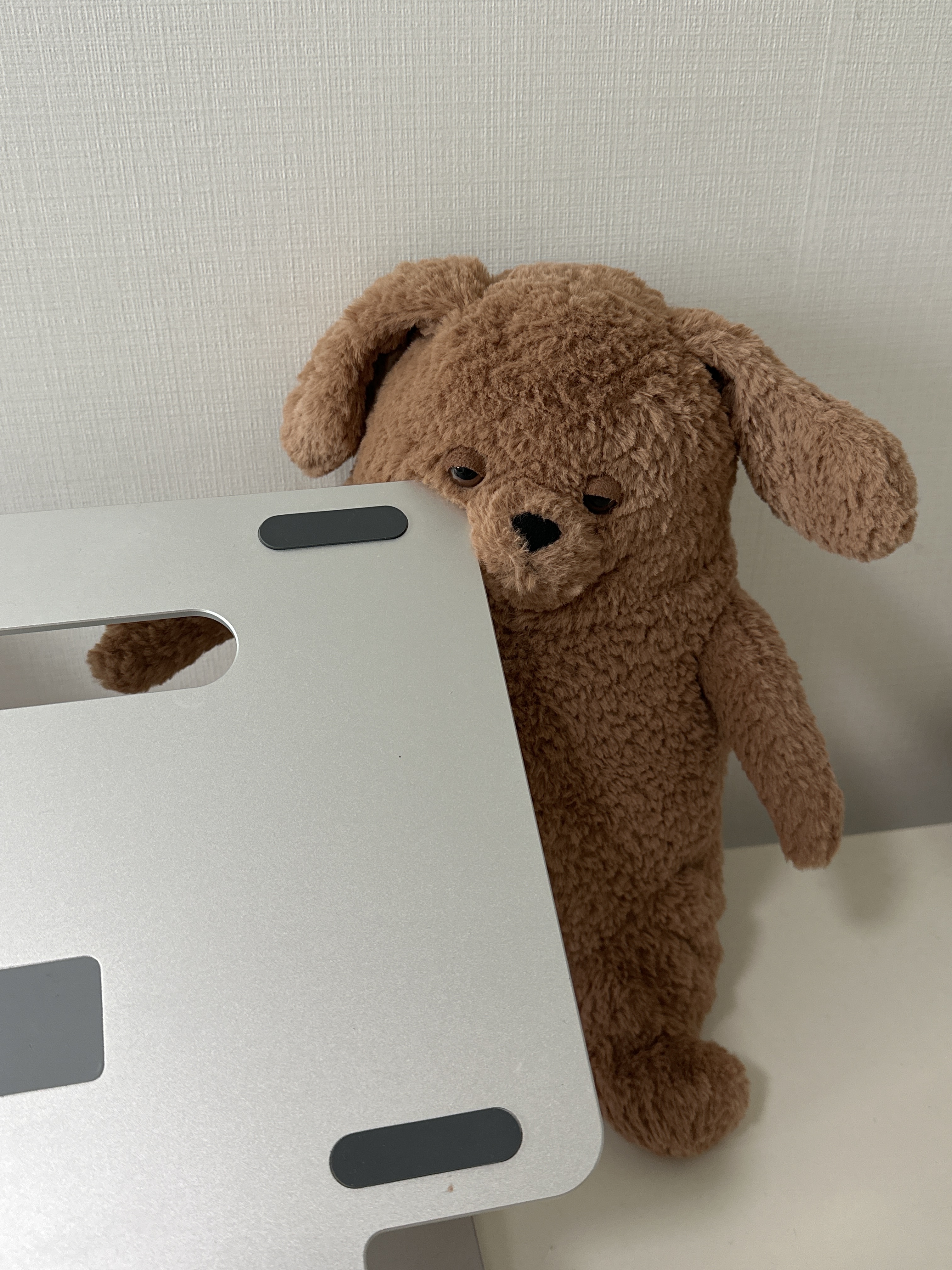 Jellycat Amore Dog Brown 착용 스타일 - 1
