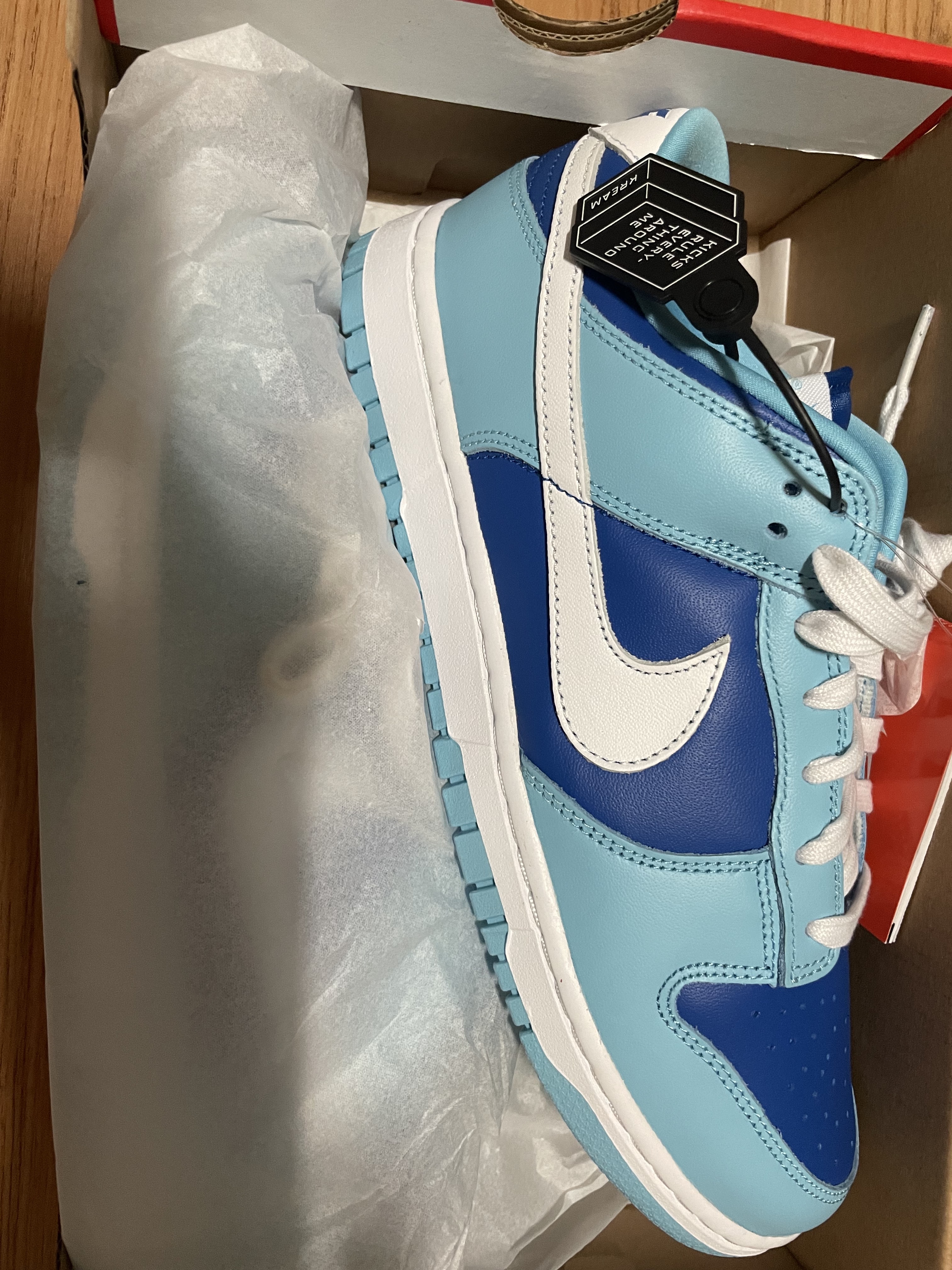 Nike Dunk Low Retro QS Argon 착용 스타일
