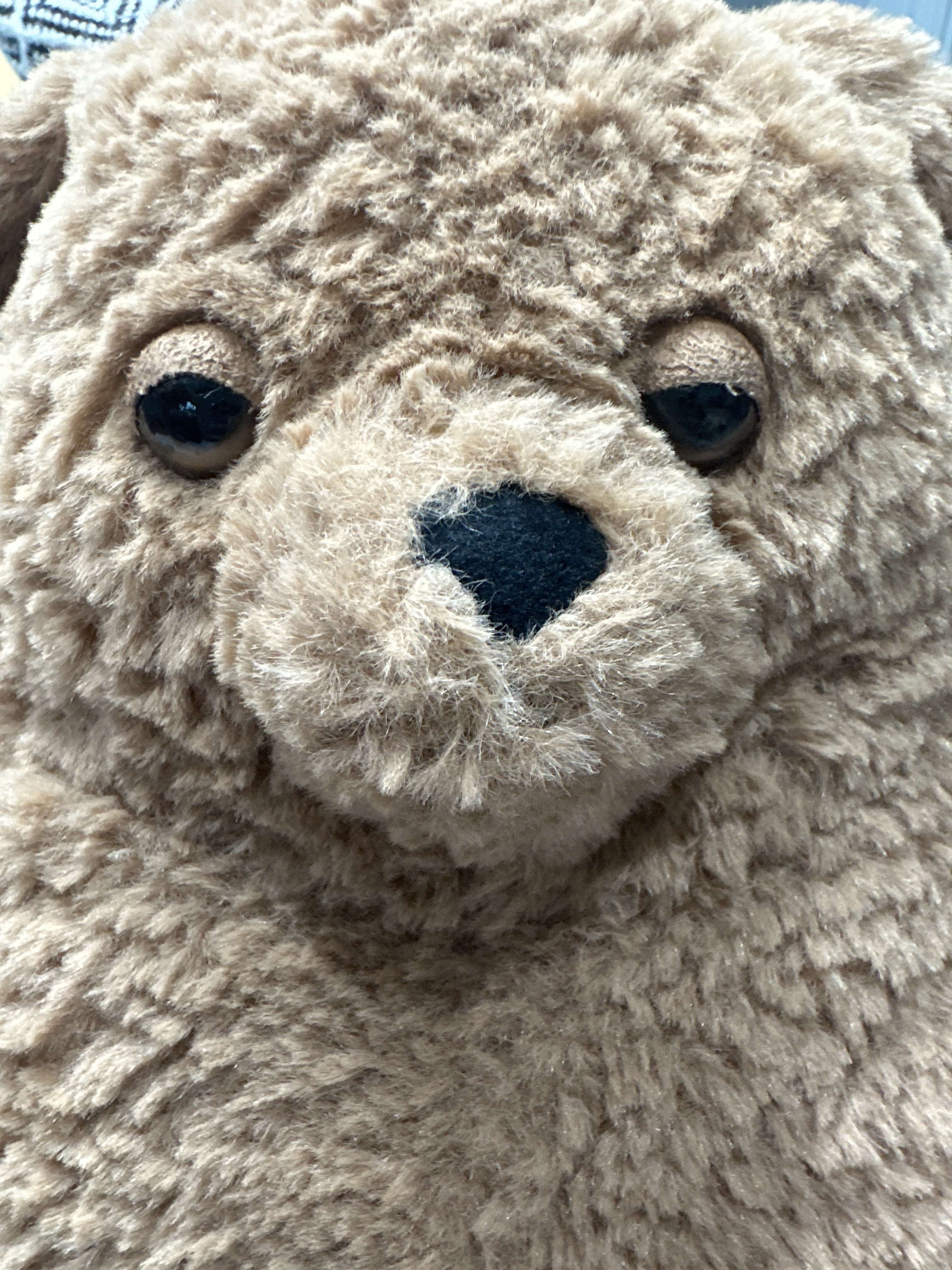 Jellycat Amore Dog Brown 착용 스타일 - 10