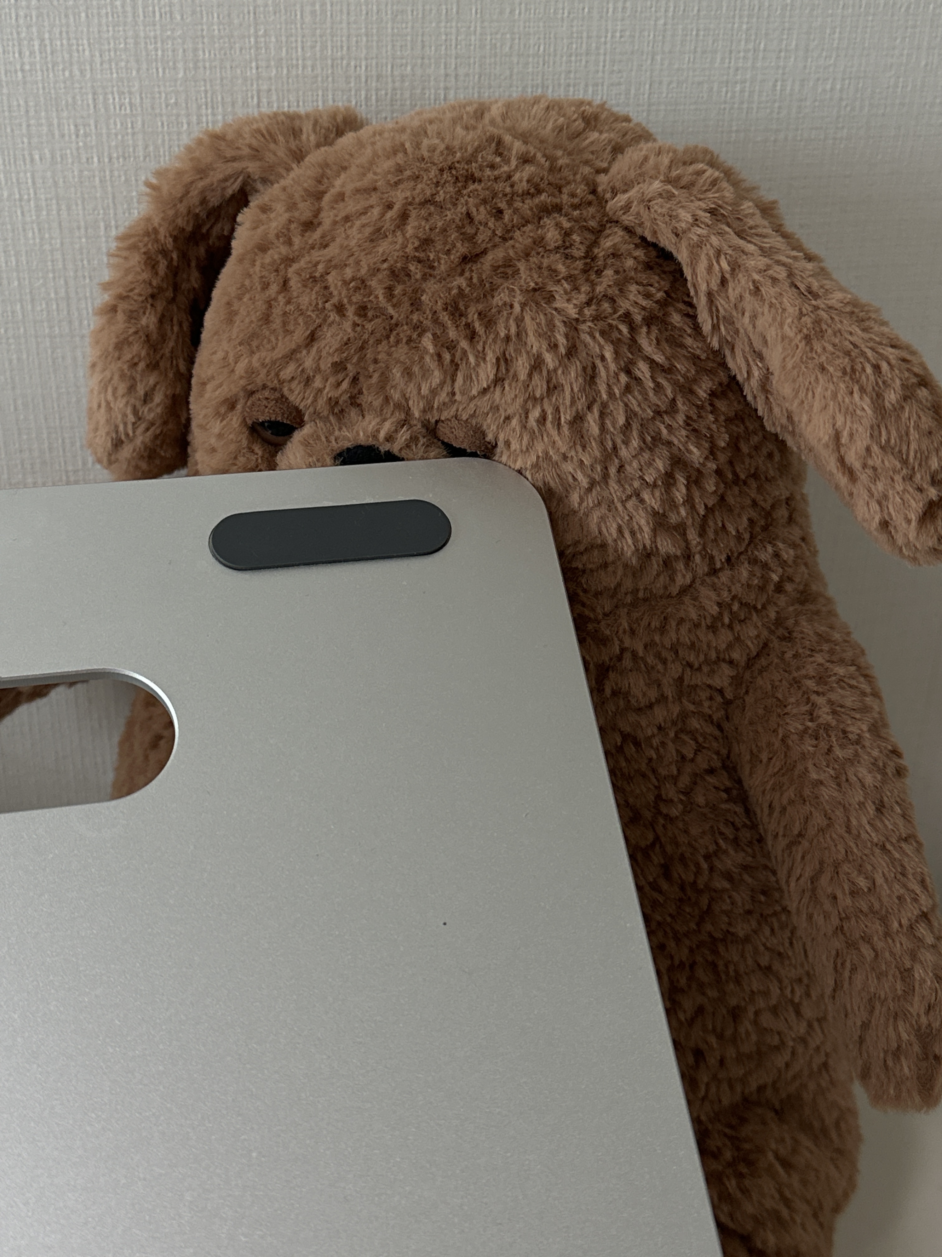 Jellycat Amore Dog Brown 착용 스타일 - 2