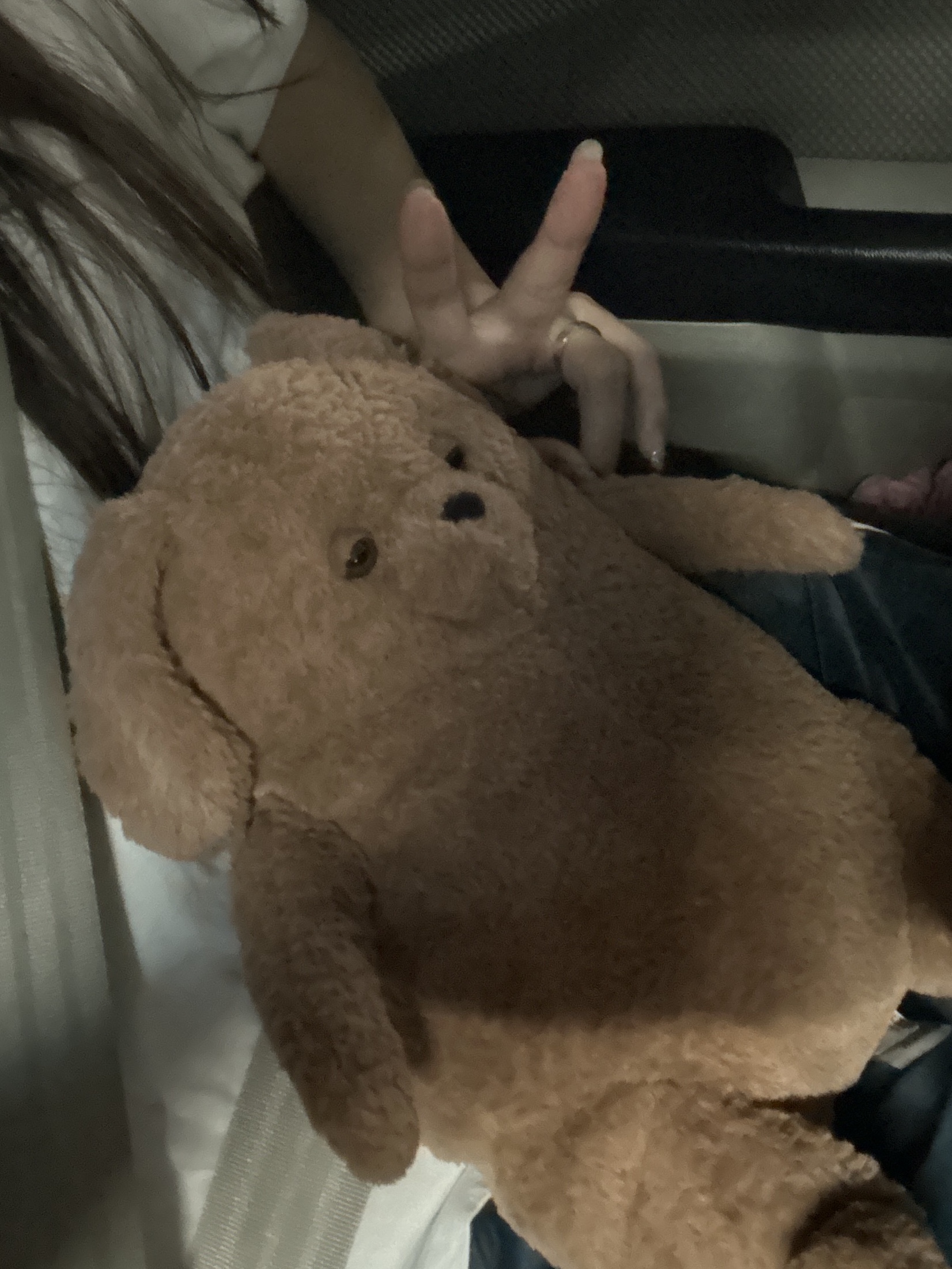 Jellycat Amore Dog Brown 착용 스타일 - 6