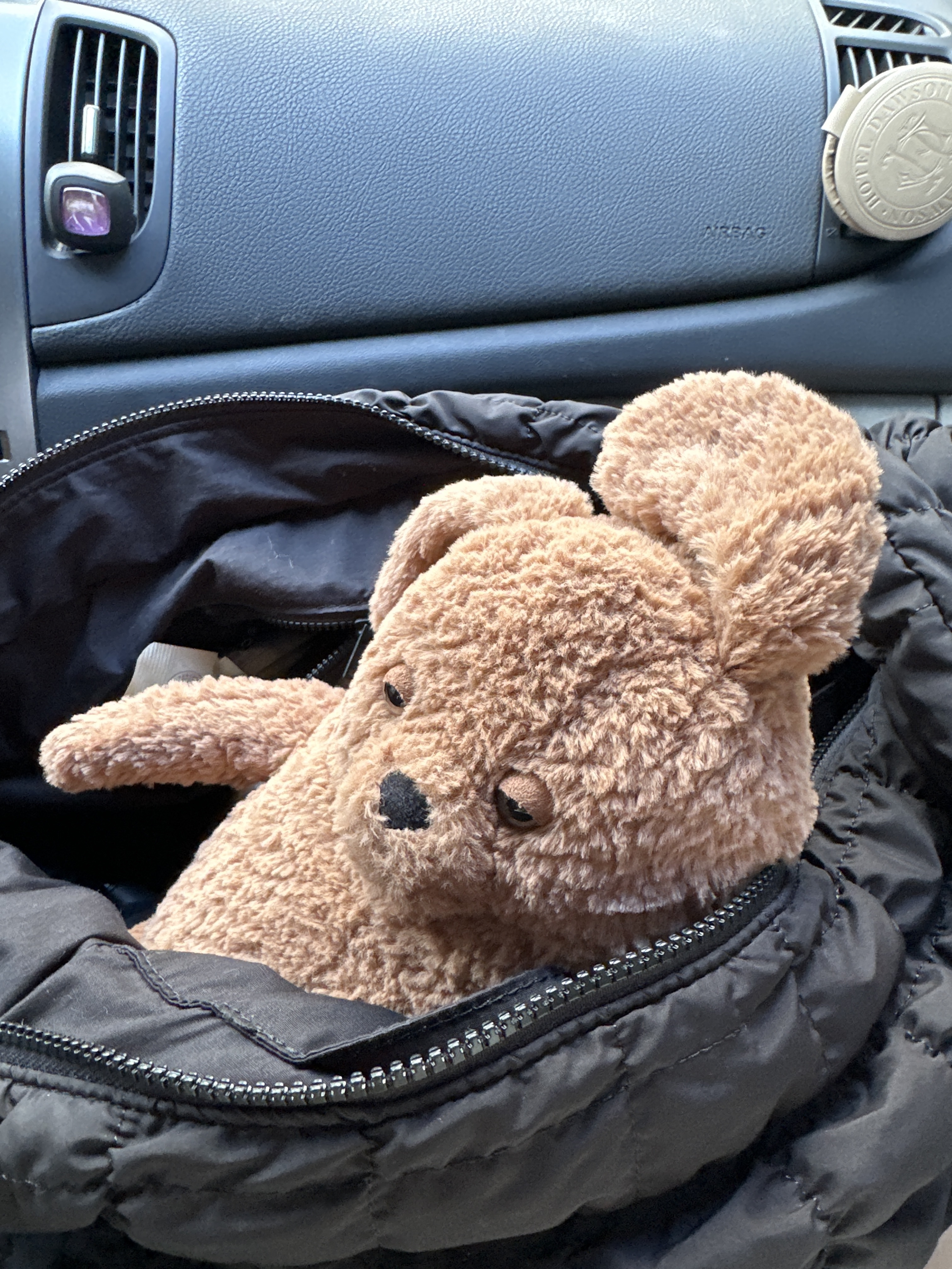 Jellycat Amore Dog Brown 착용 스타일 - 7