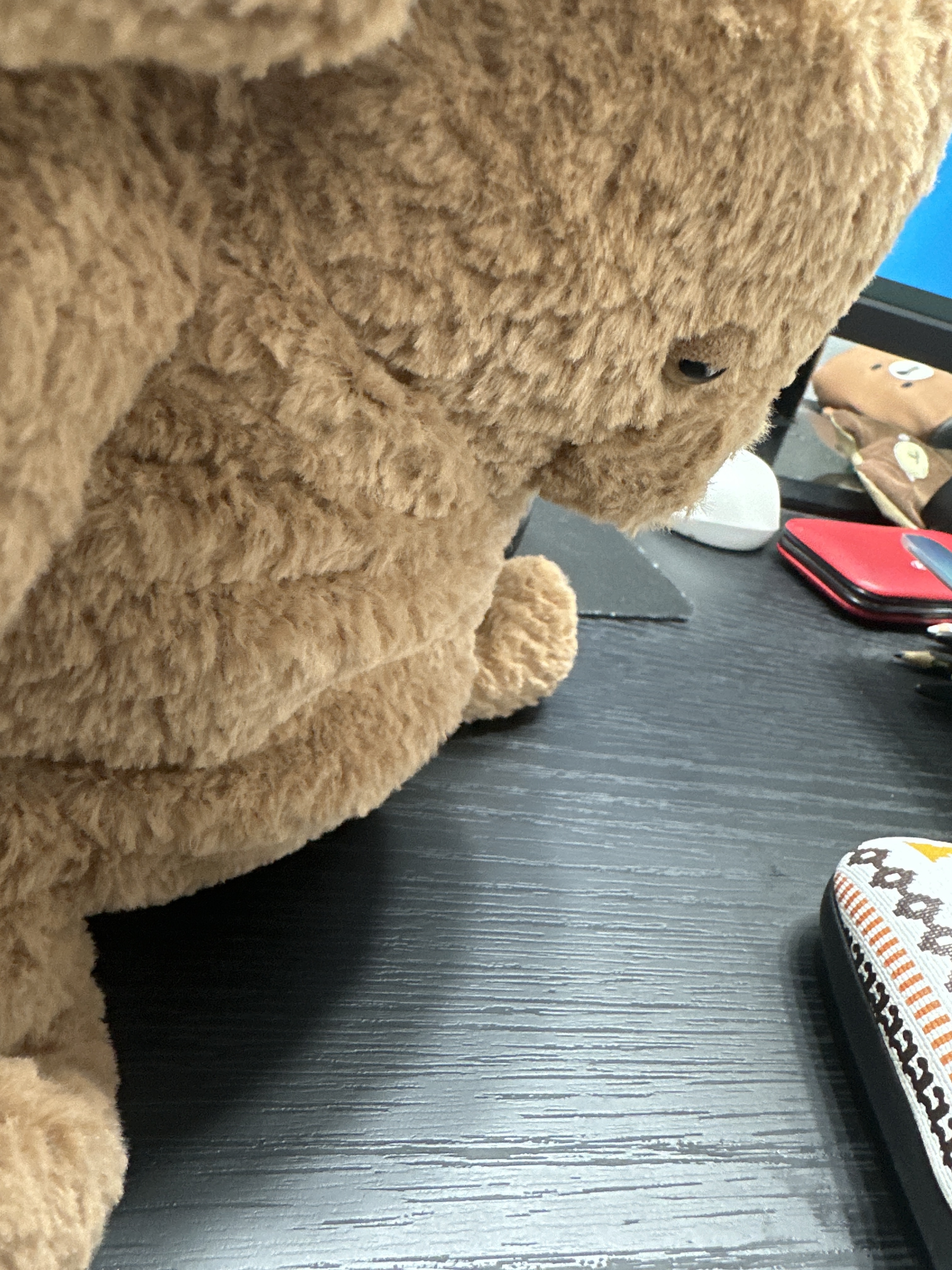 Jellycat Amore Dog Brown 착용 스타일 - 8