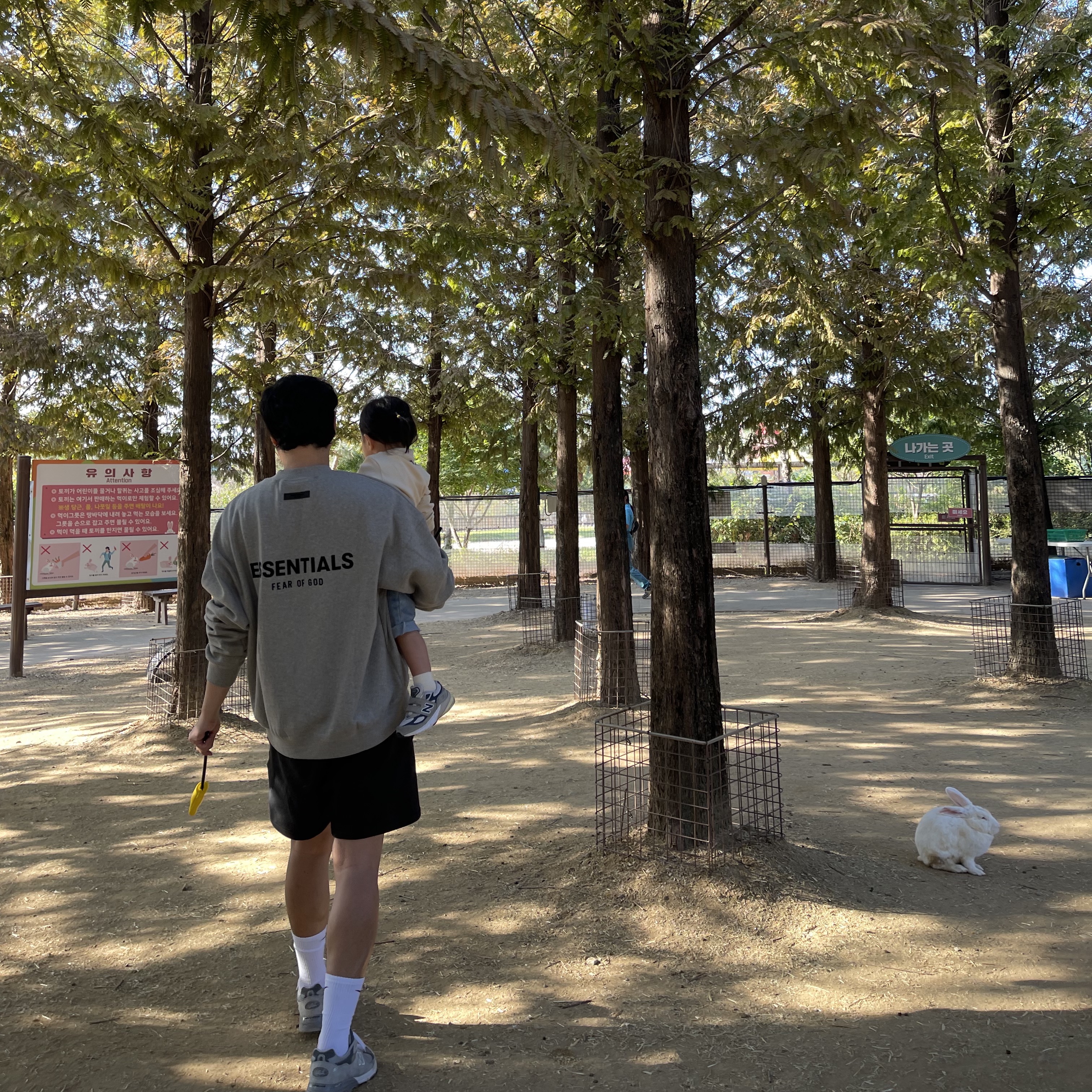 Essentials The Core Collection Crewneck Sweatshirt Dark Oatmeal, Essentials The Core Collection Sweatshorts Stretch Limo 착용 스타일 - 1