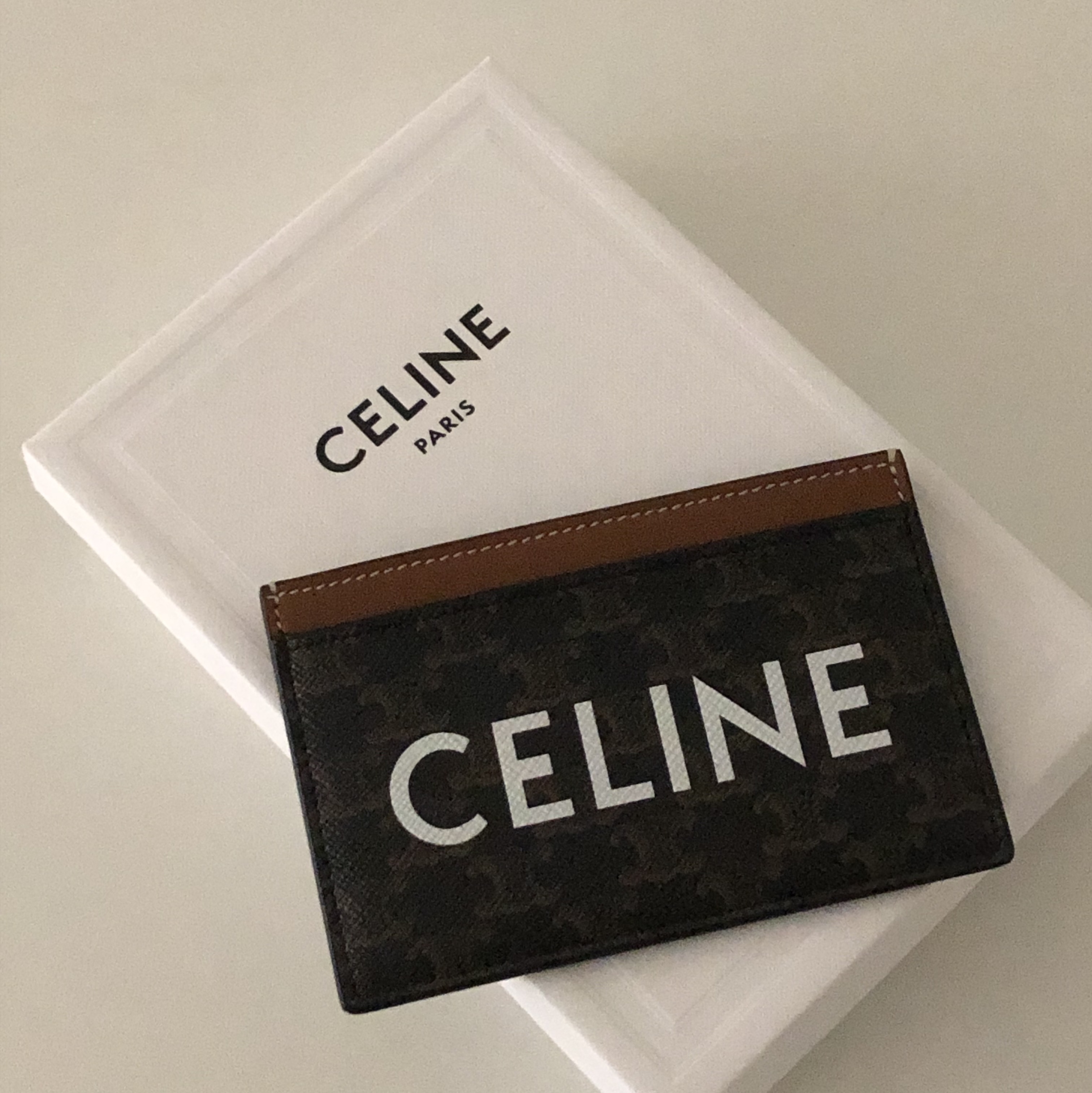 Celine Card Holder in Triomphe Canvas with Celine Print Tan 착용 스타일