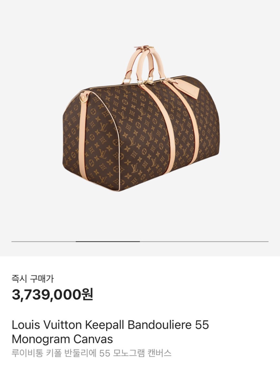 Louis Vuitton Keepall Bandouliere 55 Monogram Canvas 착용 스타일 - 6