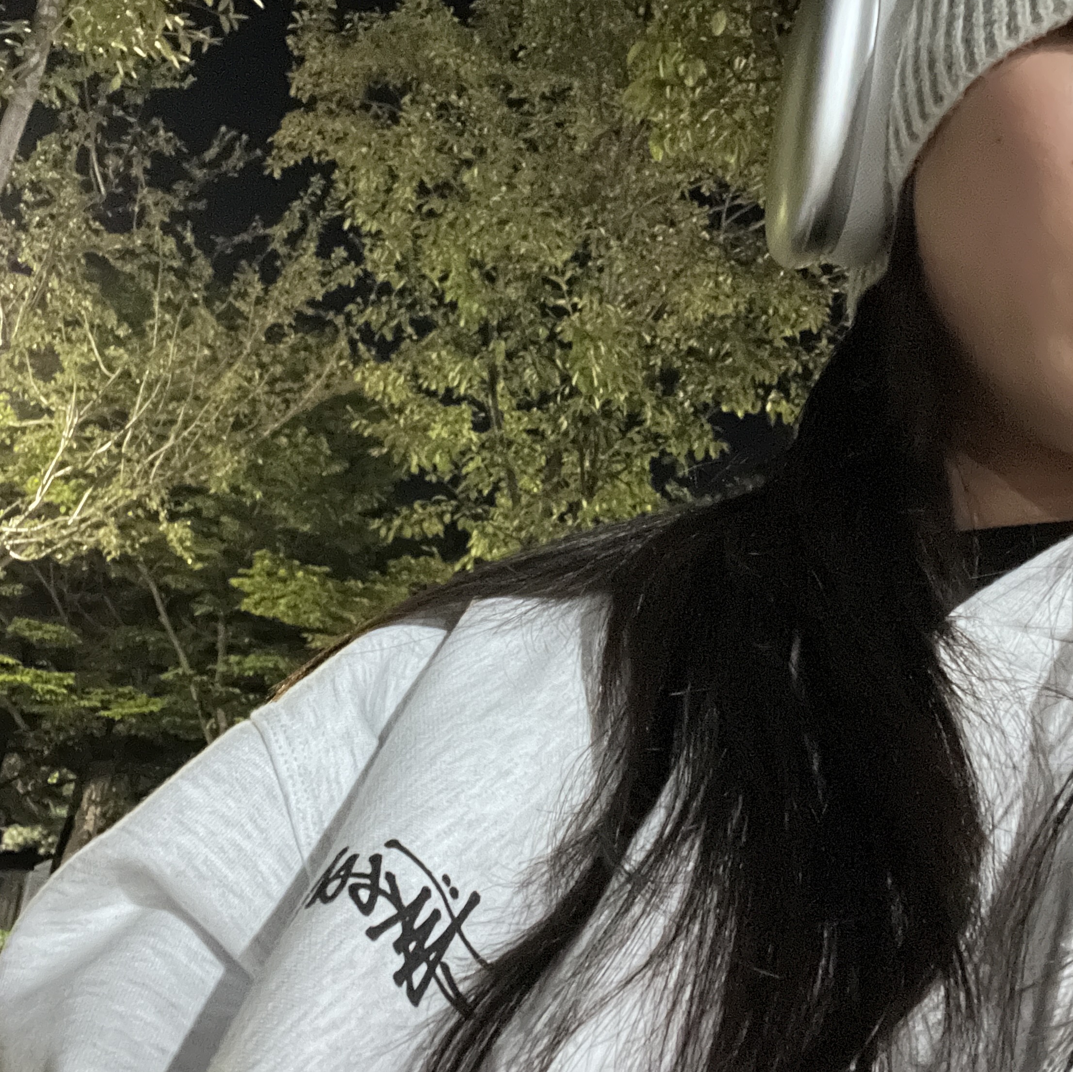 Stussy Basic Stussy Zip Hoodie Ash Heather 2023, Onitsuka Tiger Mexico 66 Black White 착용 스타일 - 2
