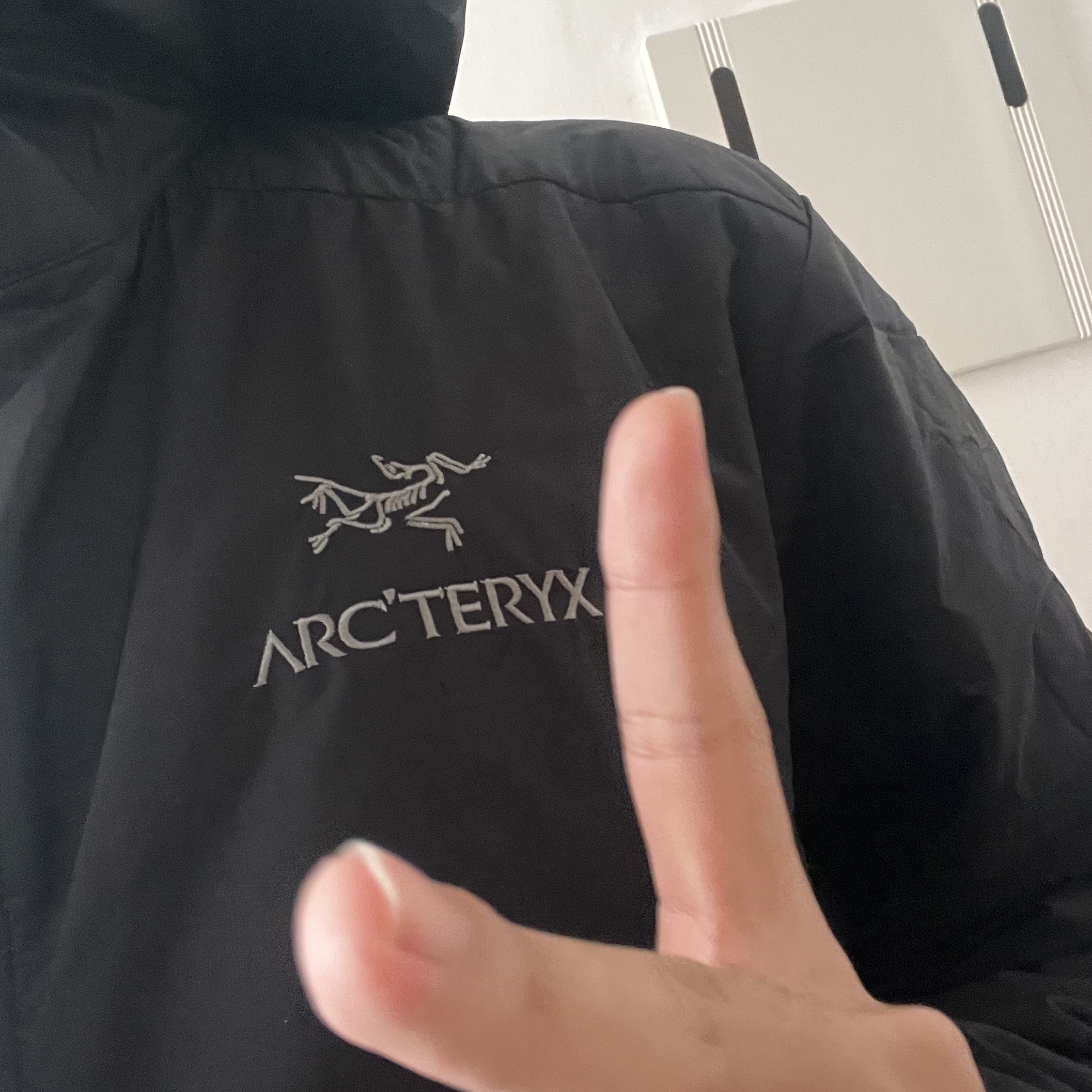 Arc'teryx Atom Hoody Black 착용 스타일