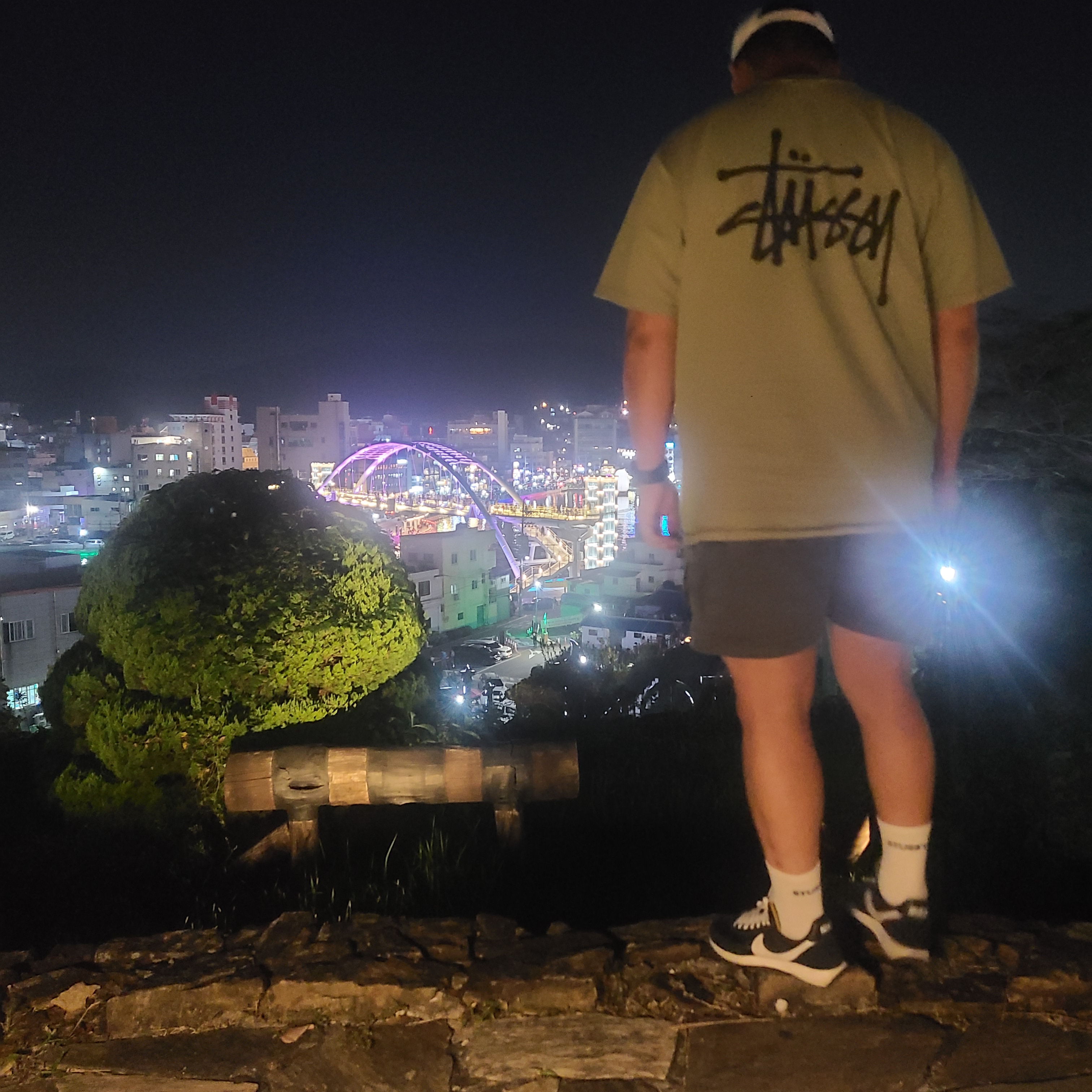Stussy Basic Stussy Pigment Dyed T-Shirt Artichoke 2023 착용 스타일