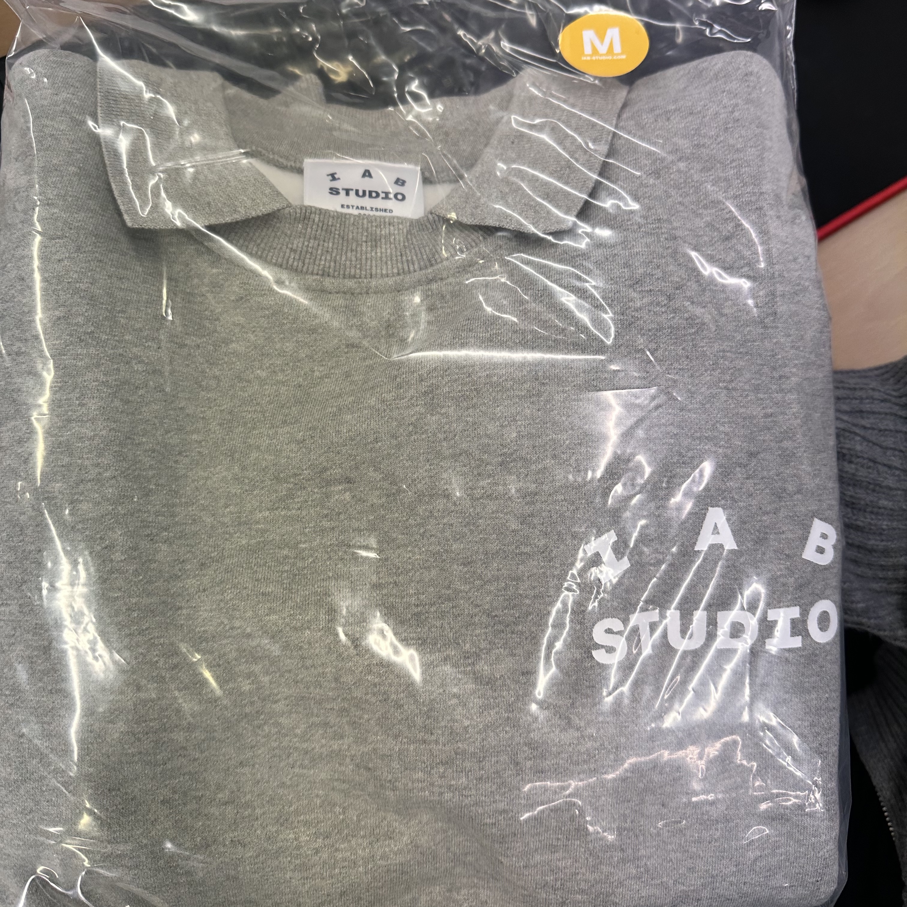 IAB Studio Rugby Sweatshirt Gray - 23FW 착용 스타일