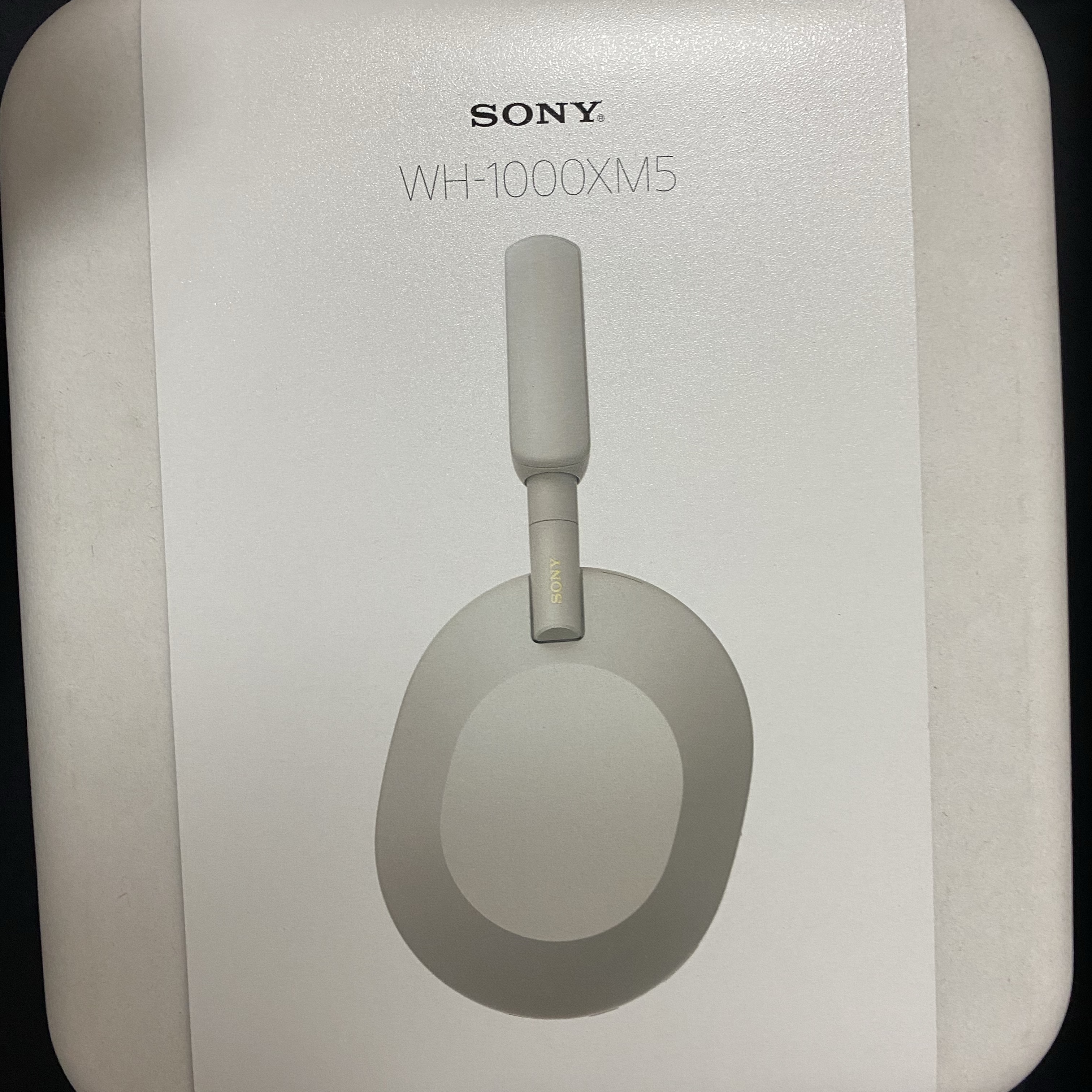 Sony WH-1000XM5 Silver (Korean Ver.) 착용 스타일