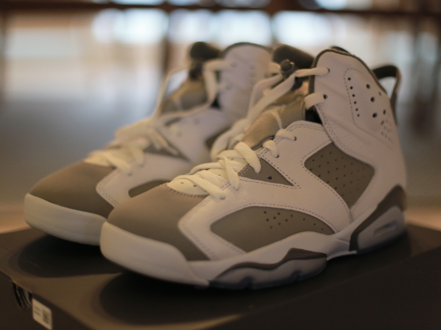 Jordan 6 Retro Cool Grey 착용 스타일 - 2