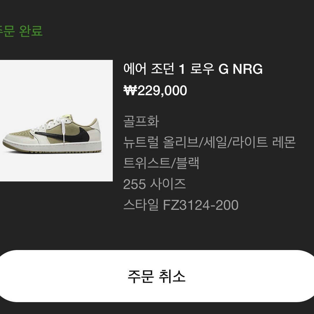 Jordan 1 x Travis Scott Retro Low Golf NRG Neutral Olive 착용 스타일