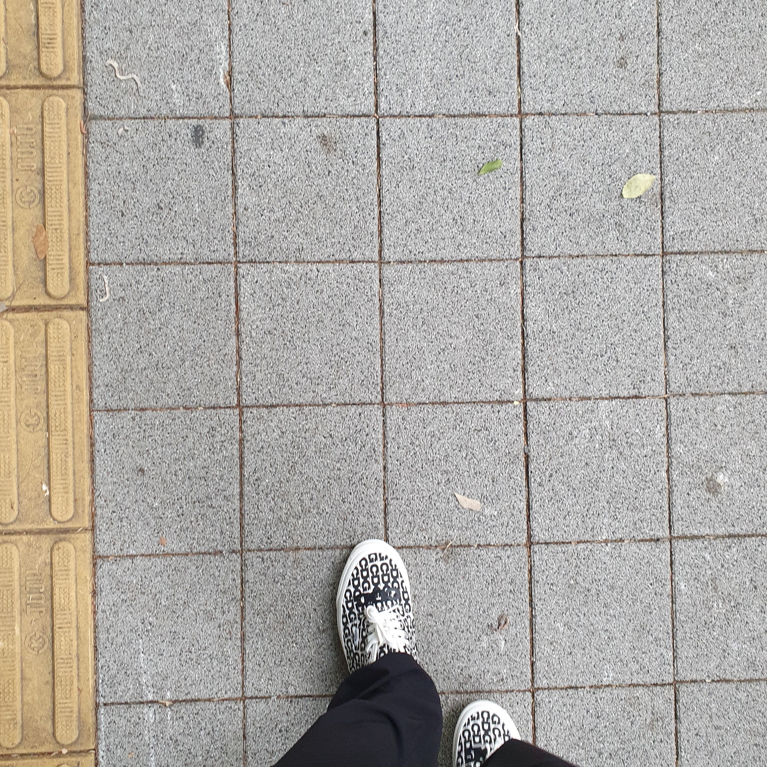 Vans Vault x CDG OG Authentic LX White Black 착용 스타일