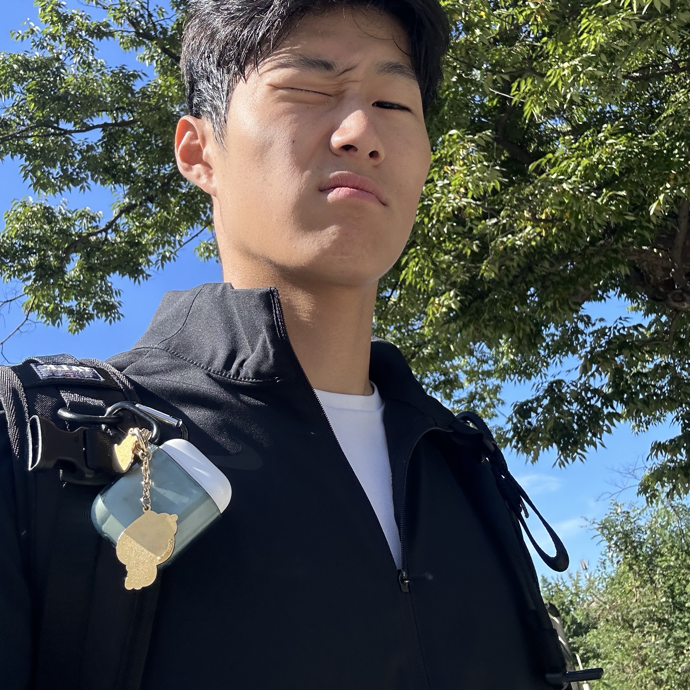 Apple AirPods 2nd Gen (Korean Ver.) 착용 스타일