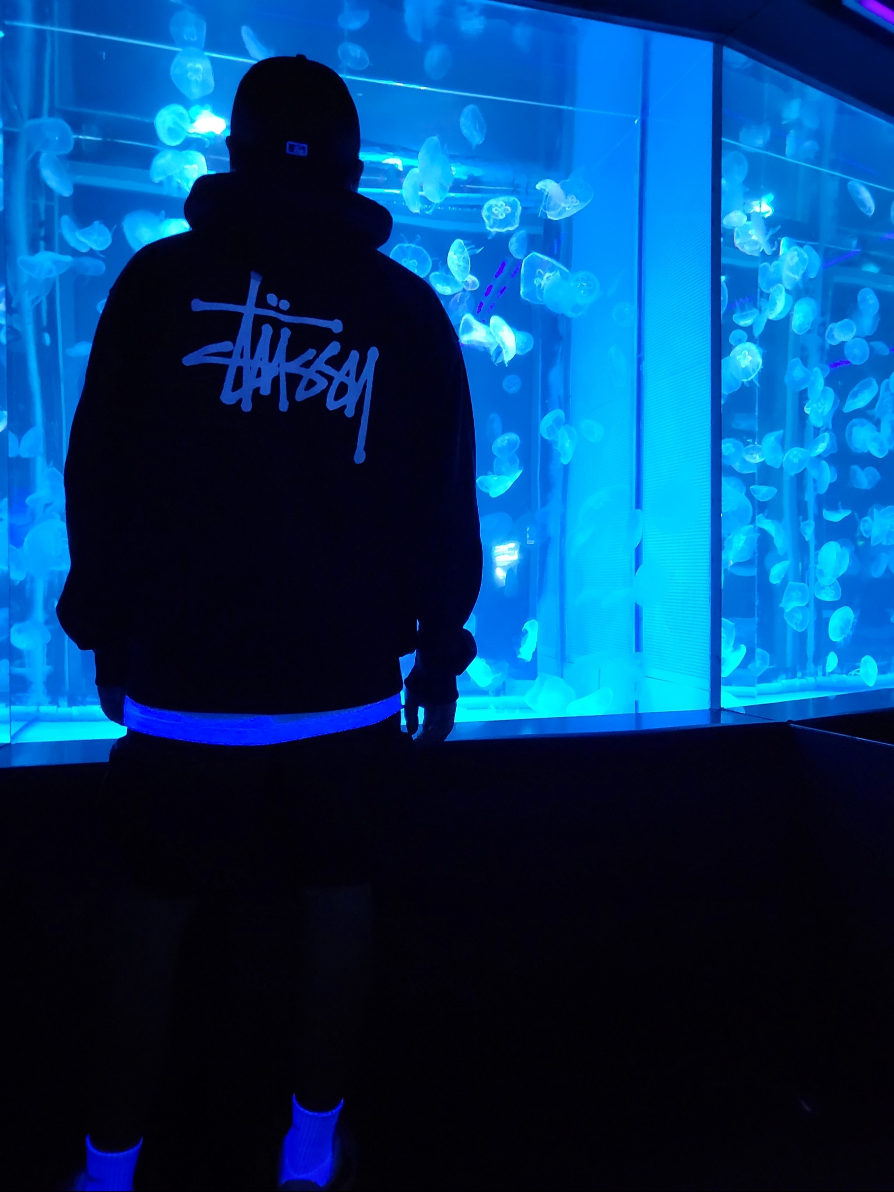 Stussy World Tour Hoodie Black 2023, Stussy Basic Stussy Hoodie Black 2023 착용 스타일