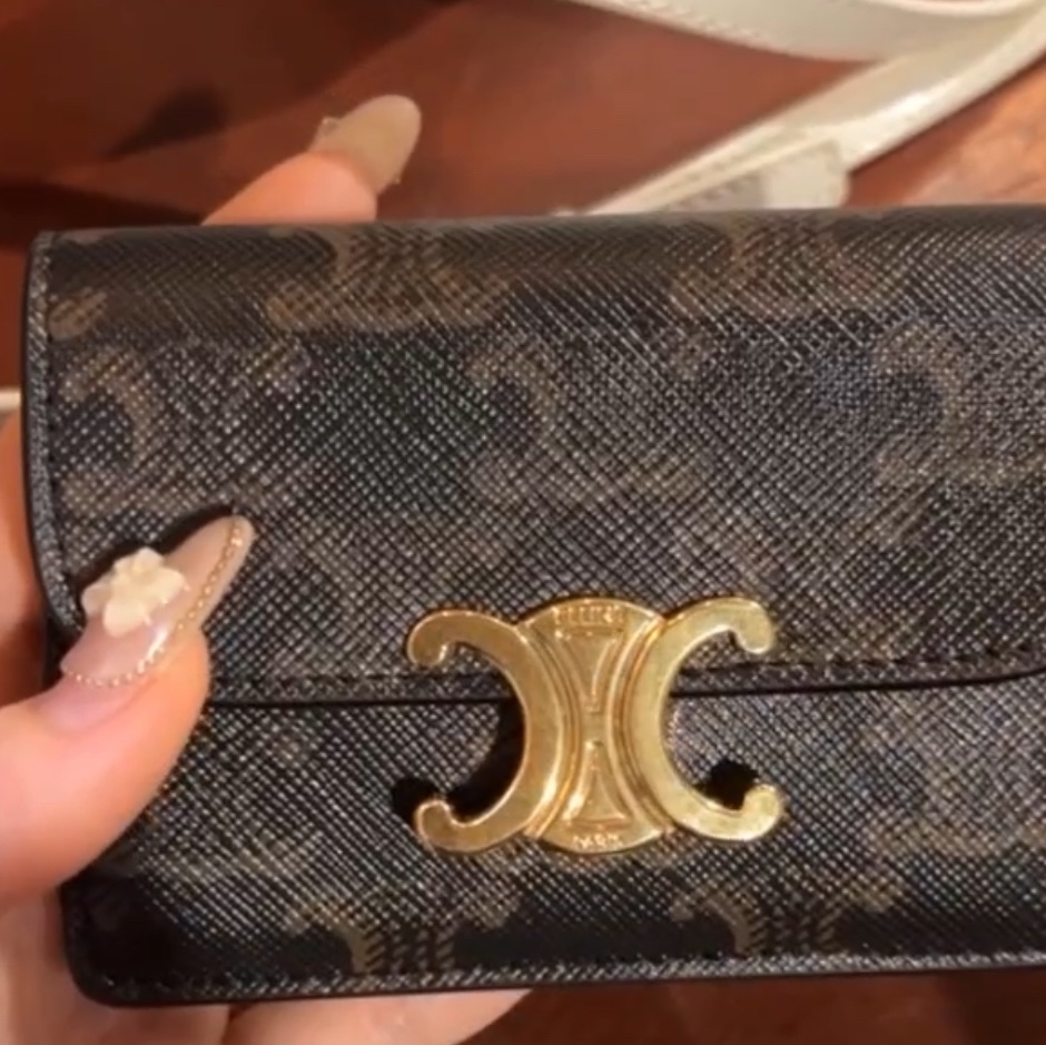 Celine Card Holder with Flap in Triomphe Canvas Tan 착용 스타일