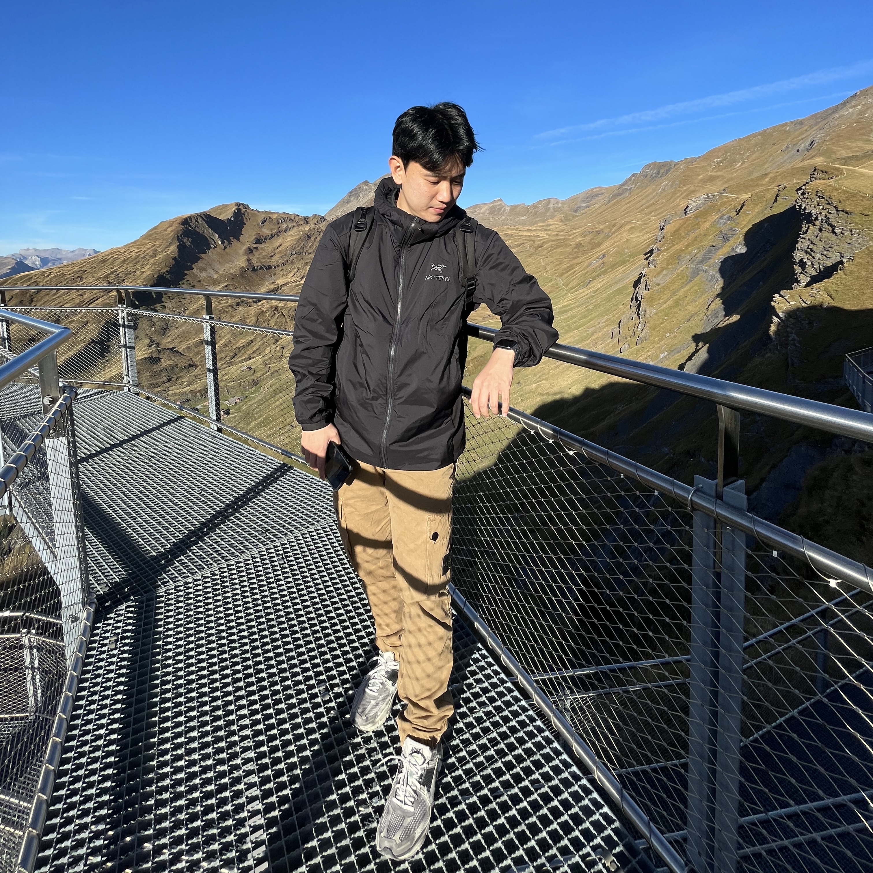 Arc'teryx Atom LT Hoody Black, Stone Island 303WA Brushed Cotton Canvas Garment Dyed Cargo Pants Bark - 23SS 착용 스타일