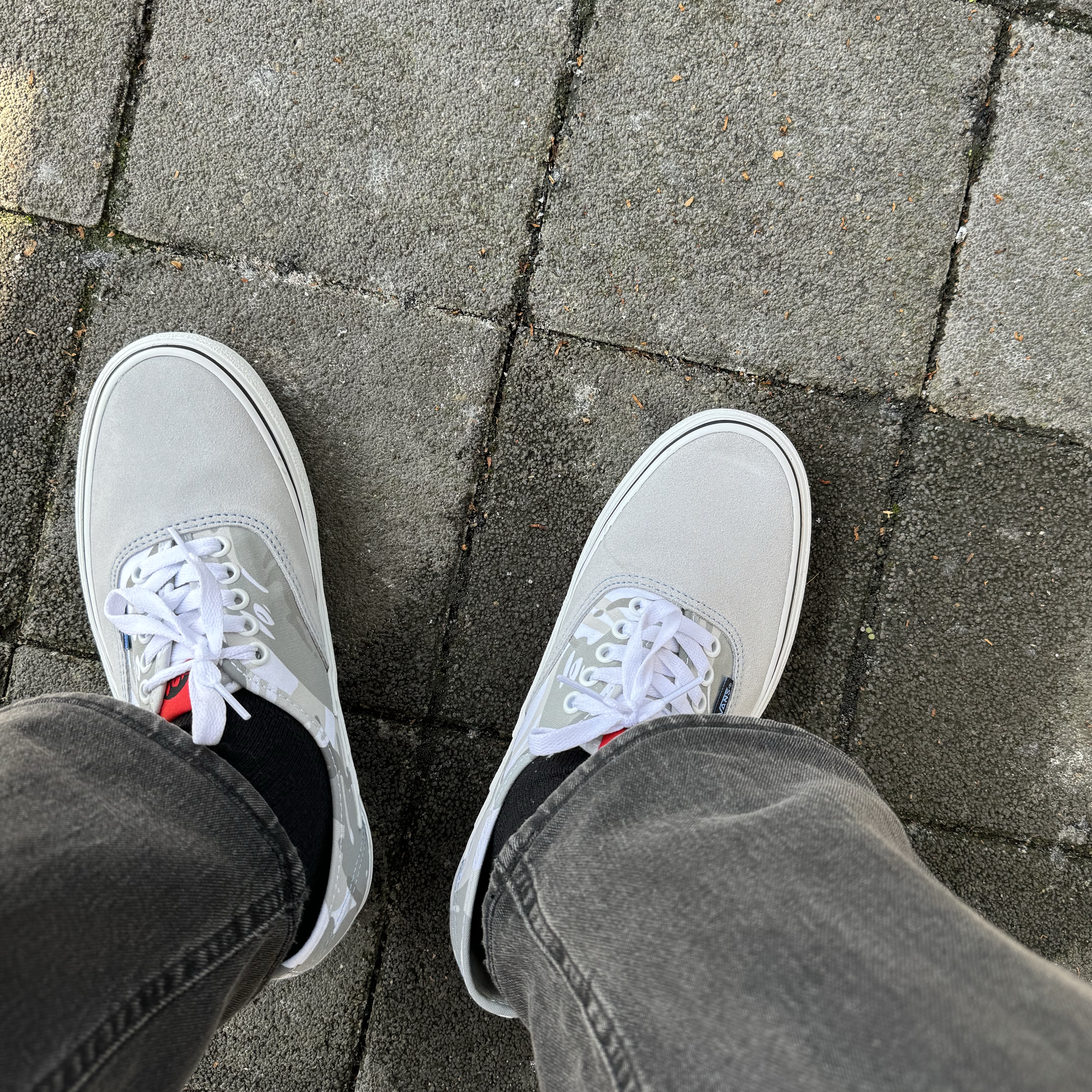 Vans x AAPE Authentic Bolt Grey 착용 스타일 - 2