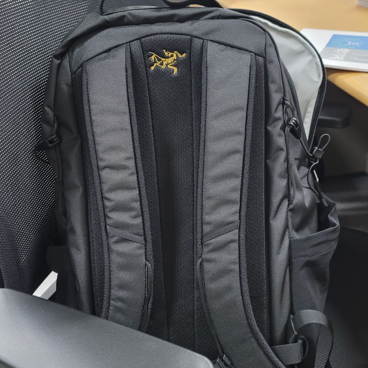 Arc'teryx Mantis 26 Backpack Black 착용 스타일 - 2
