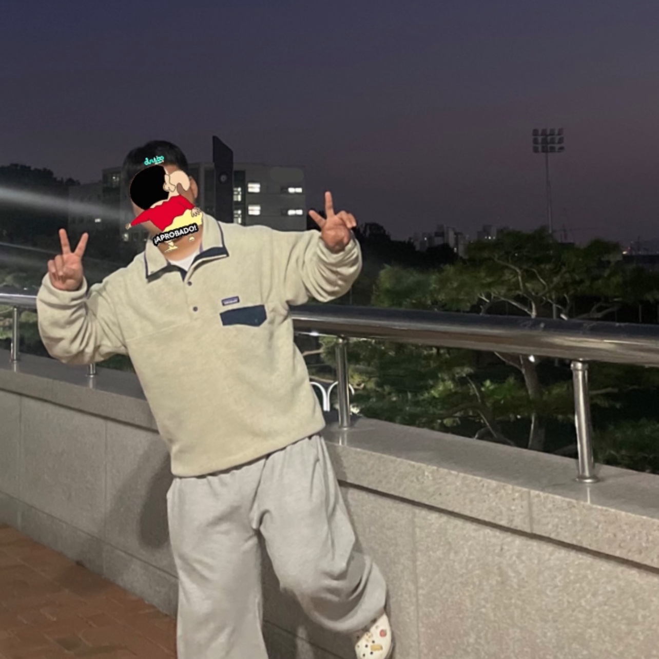 Patagonia Synchilla Snap-T Fleece Pullover Oatmeal Heather 착용 스타일 - 2