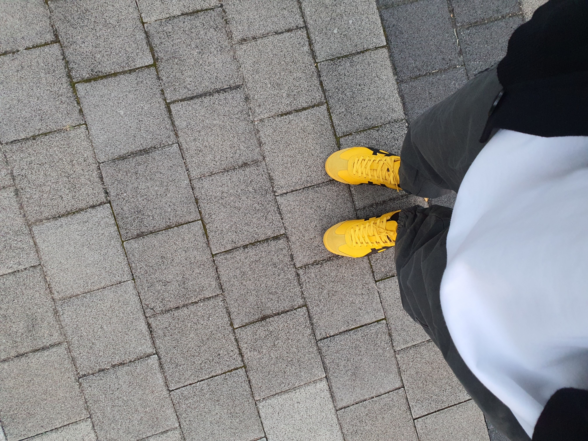 Onitsuka Tiger Mexico 66 Yellow Black 착용 스타일