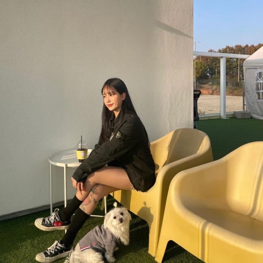 스타일 카드