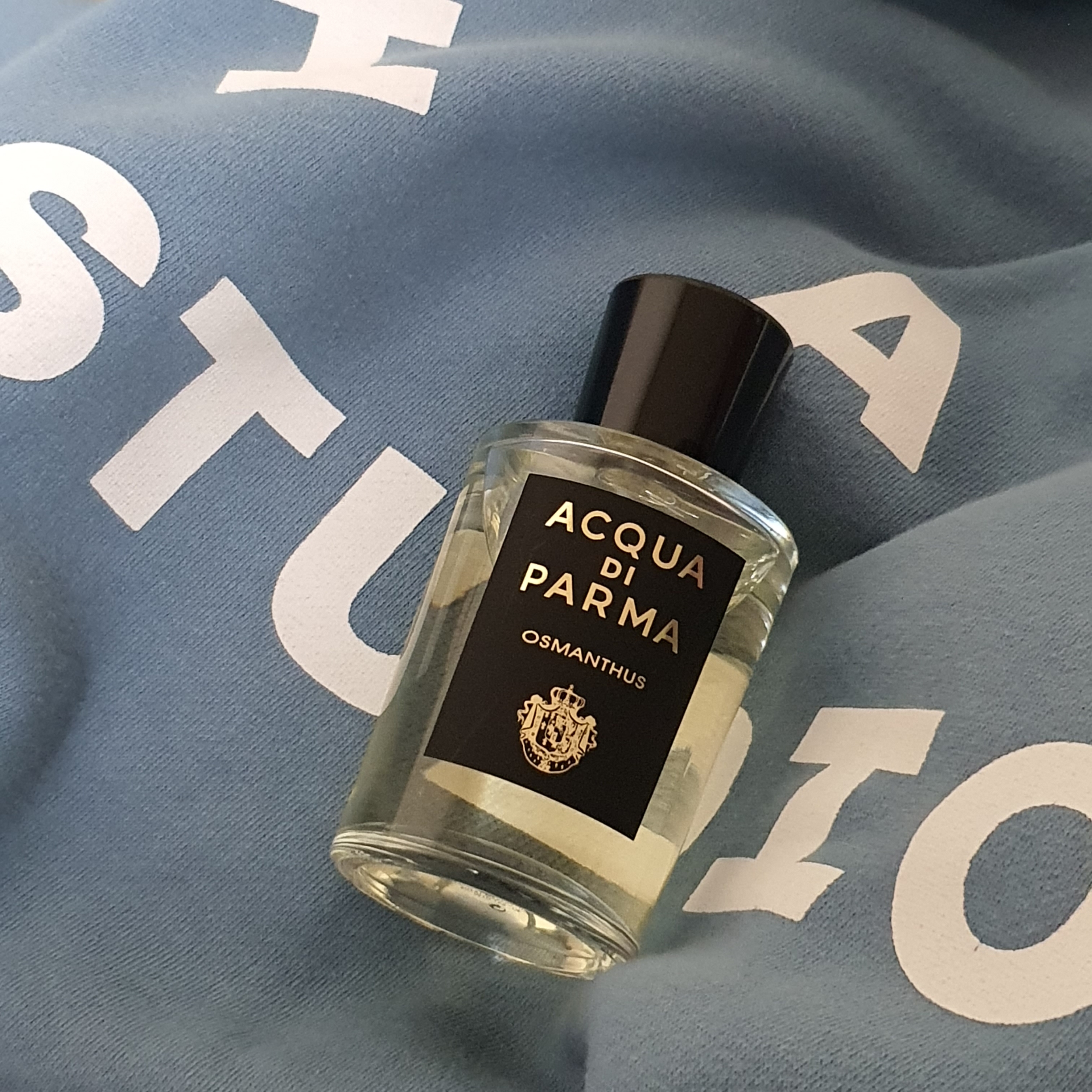 Acqua Di Parma Osmanthus Eau De Parfum 100ml, IAB Studio Crewneck Sky Blue 착용 스타일