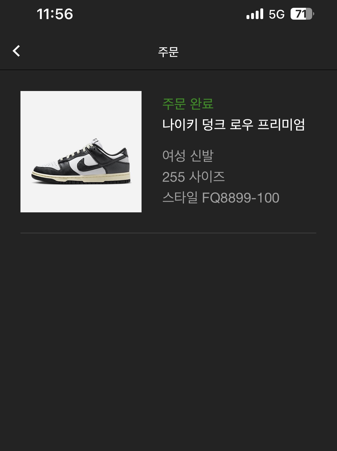 (W) Nike Dunk Low Vintage Black and White 착용 스타일