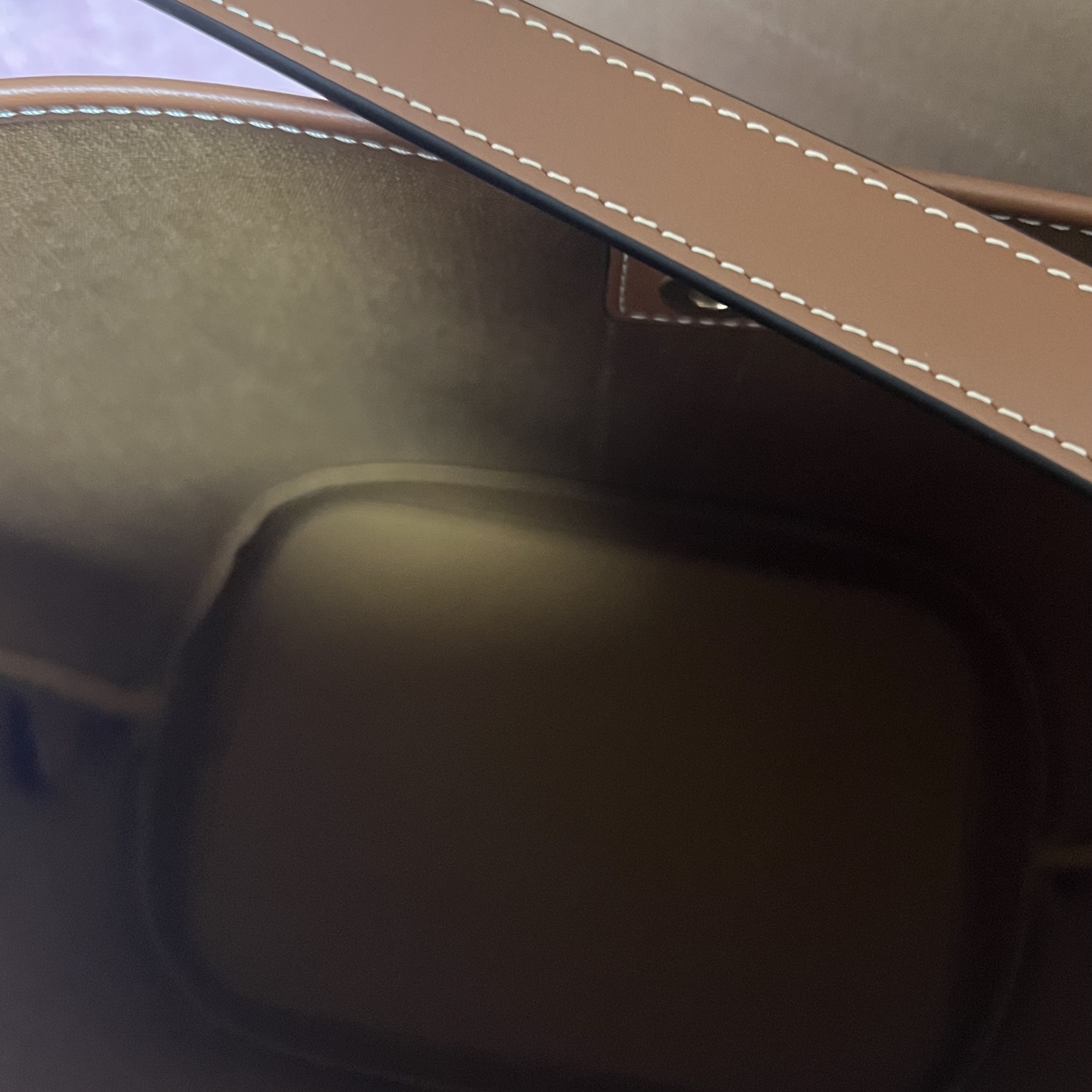 Celine Small Bucket in Triomphe Canvas and Calfskin Tan 착용 스타일 - 3