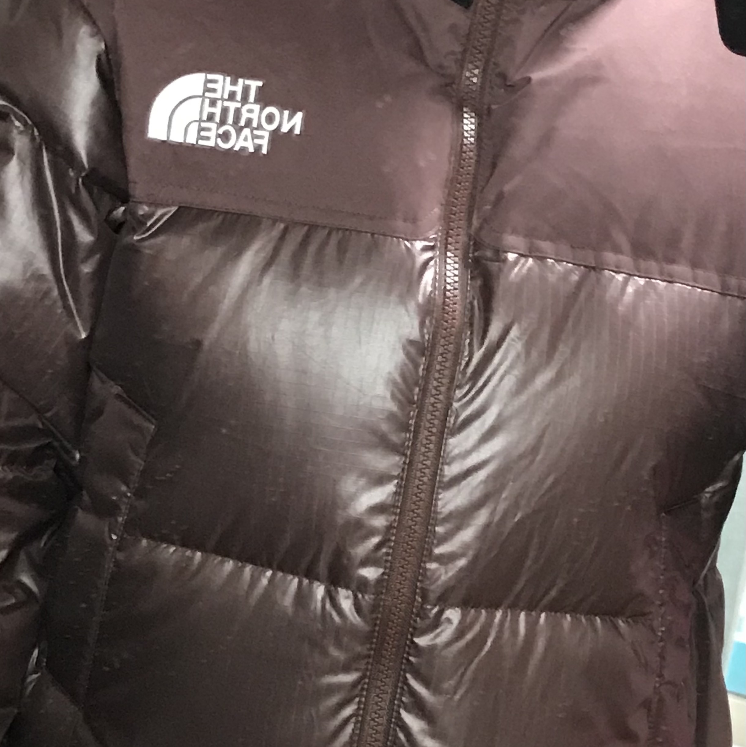 (W) The North Face White Label Novelty Nuptse Down Jacket Cocoa Brown 착용 스타일 - 2