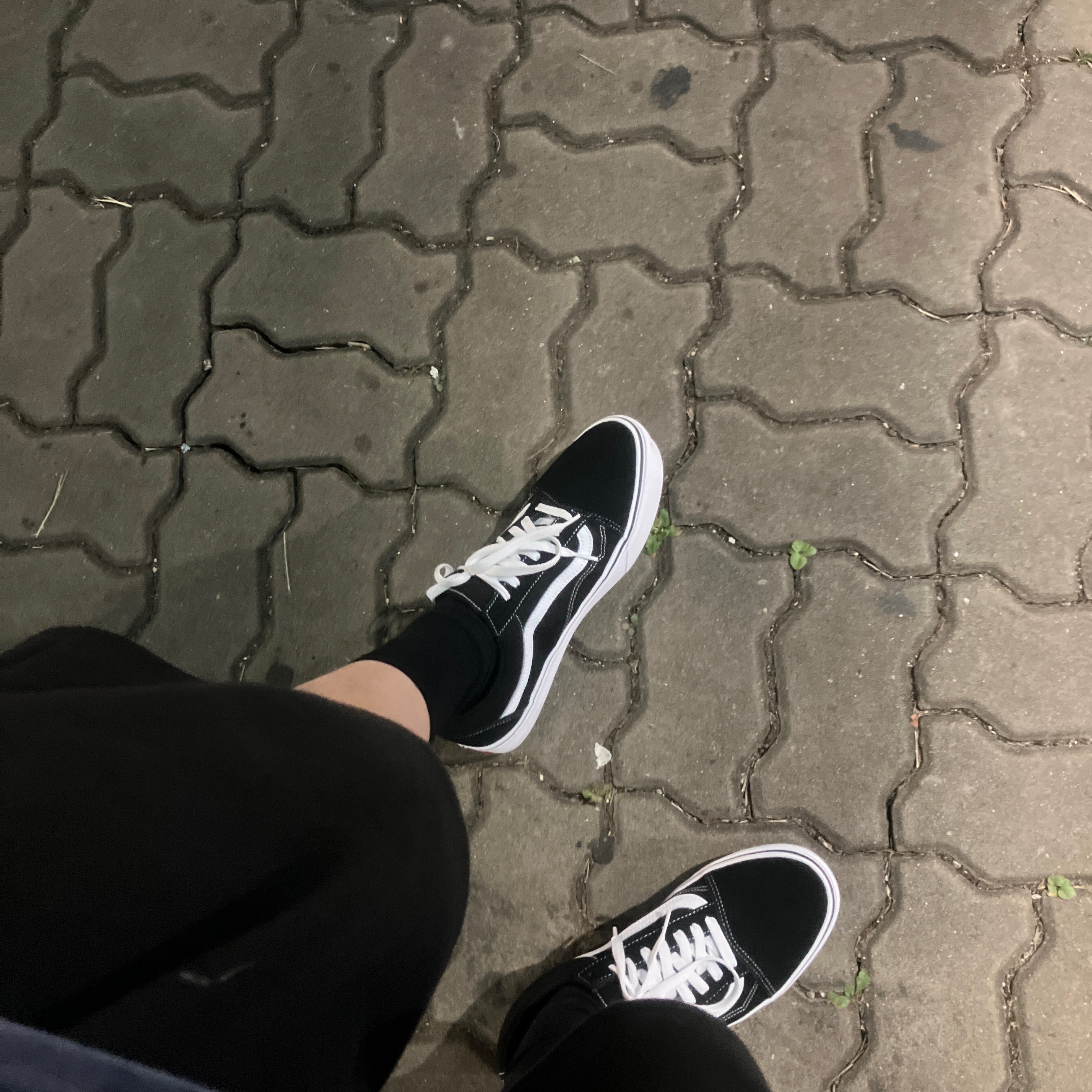 Vans ComfyCush Old Skool Black True white 착용 스타일