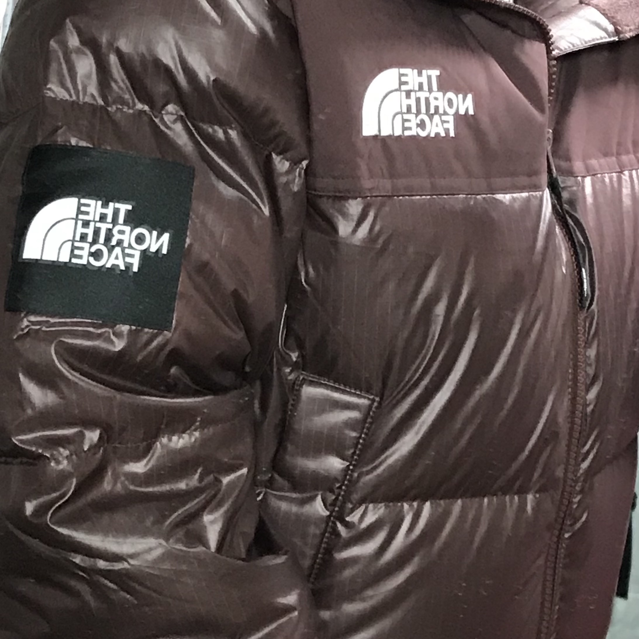(W) The North Face White Label Novelty Nuptse Down Jacket Cocoa Brown 착용 스타일 - 1