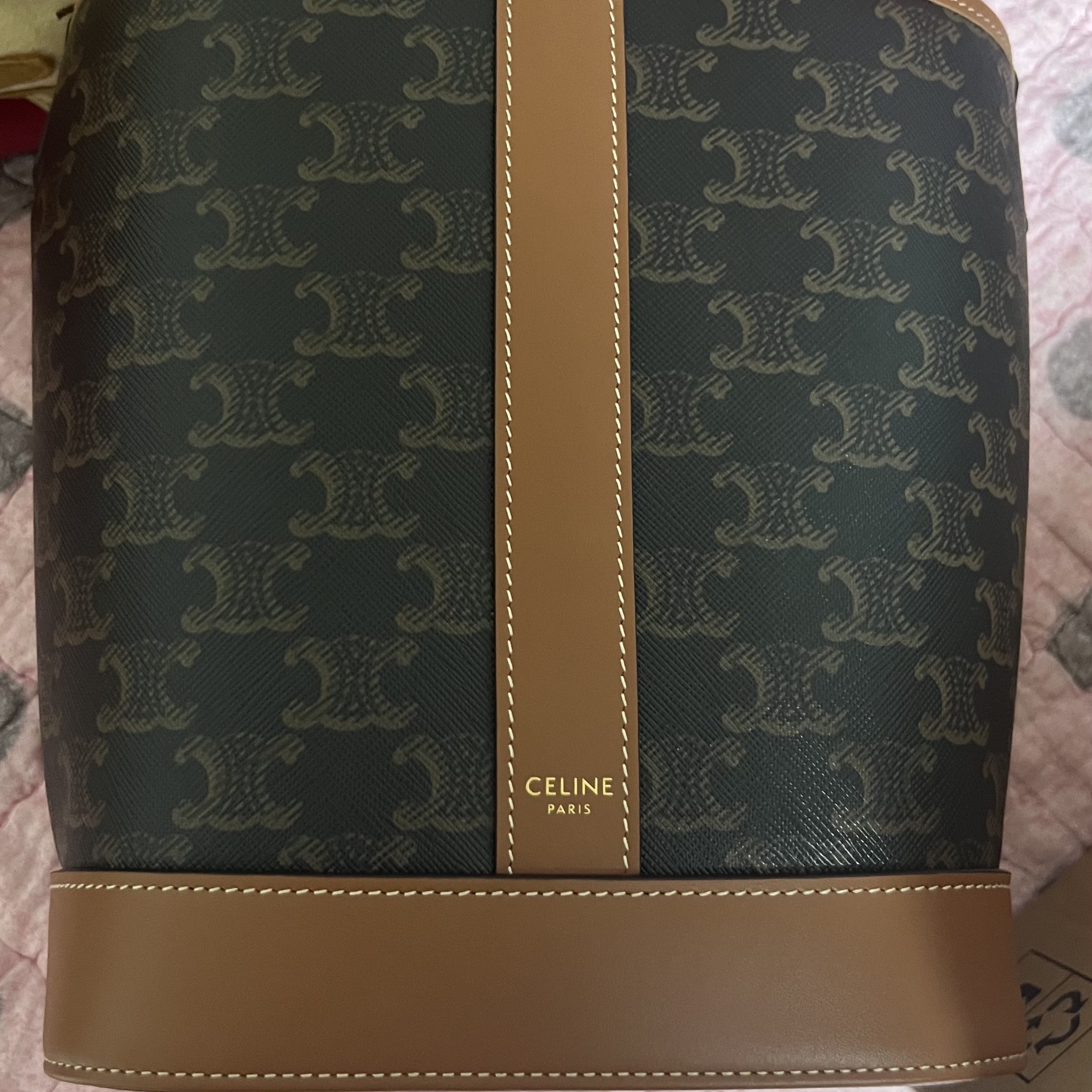 Celine Small Bucket in Triomphe Canvas and Calfskin Tan 착용 스타일 - 2