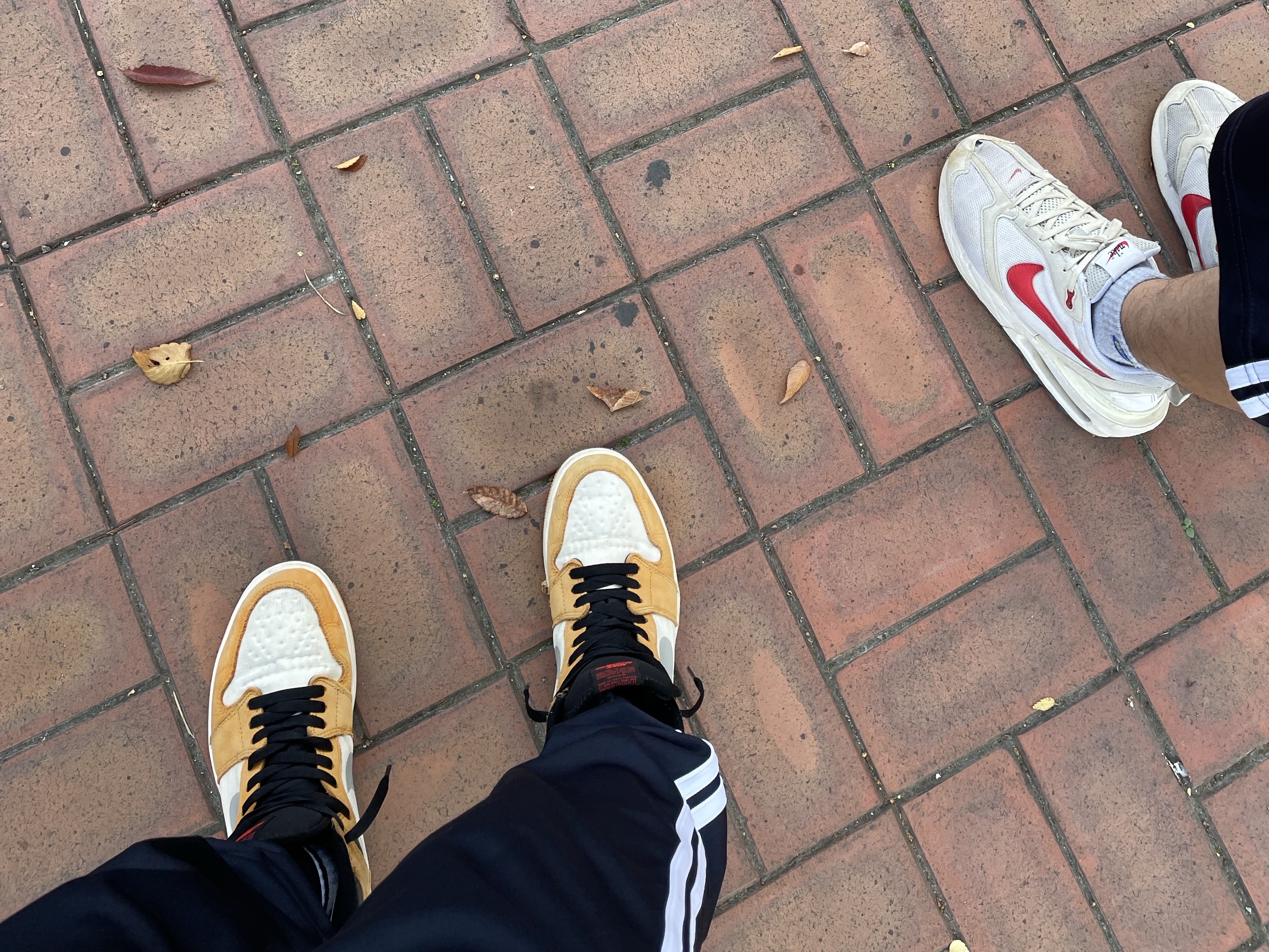 Jordan 1 Element Gore-Tex Light Curry, Nike Air Max Dawn Light Bone University Red 착용 스타일 - 1