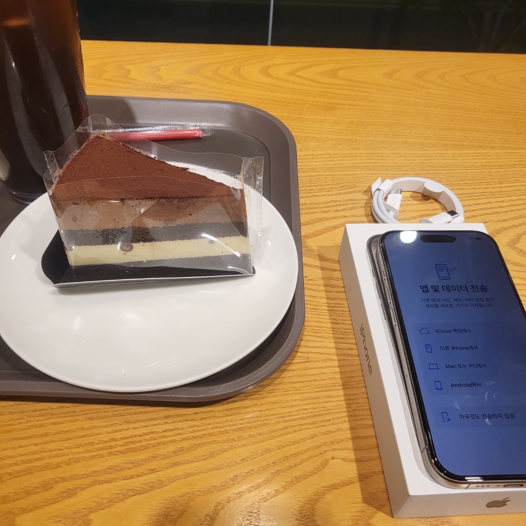 Apple iPhone 15 Pro 128GB Natural Titanium (Korean Ver.) 착용 스타일
